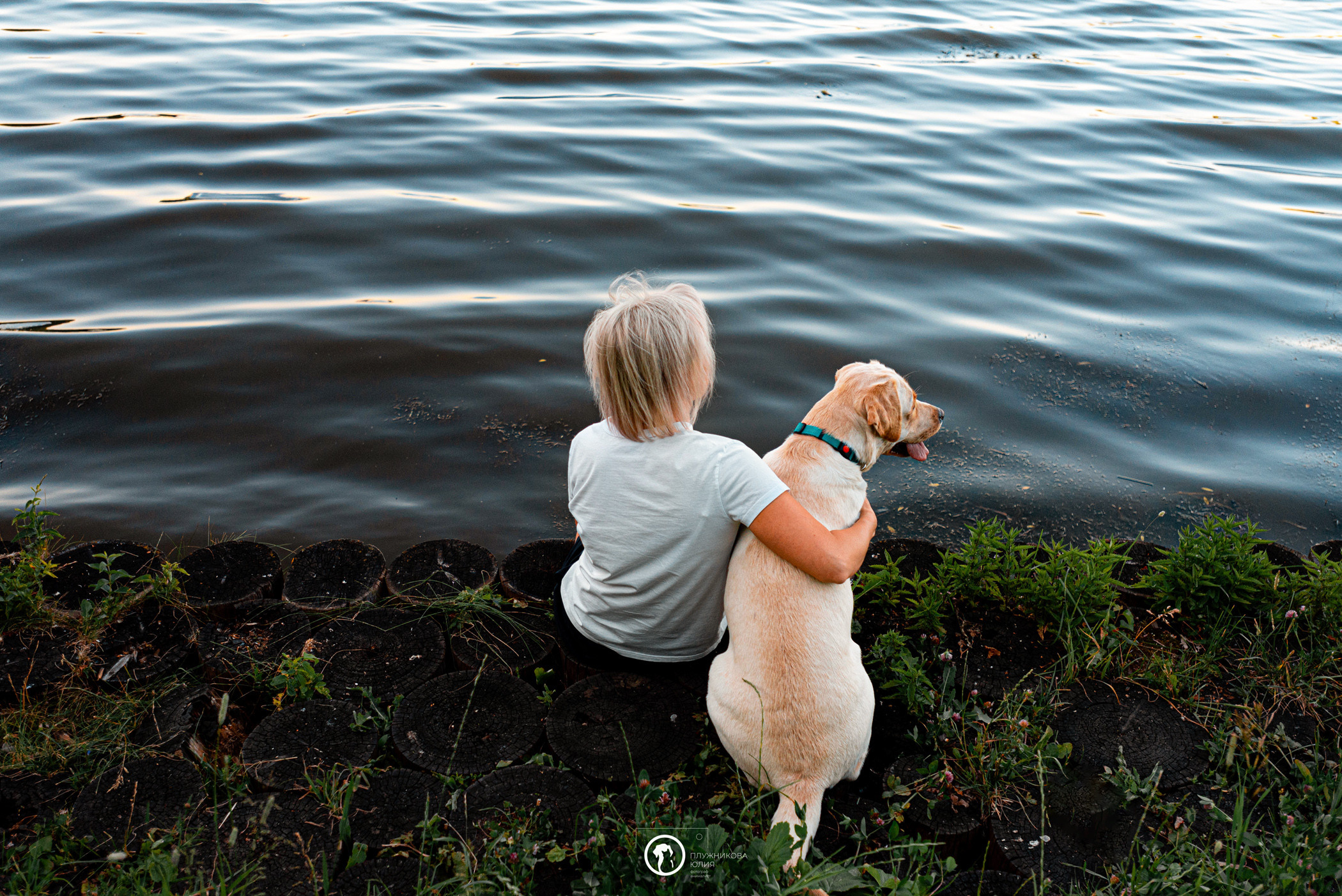 Зефирка и ее чудесная семья на летнем закате. Фотограф — анималист Саратов/Москва|Плужникова Юлия