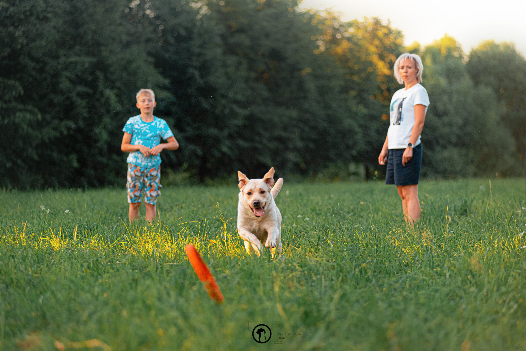 Зефирка и ее чудесная семья на летнем закате. Фотограф — анималист Саратов/Москва|Плужникова Юлия