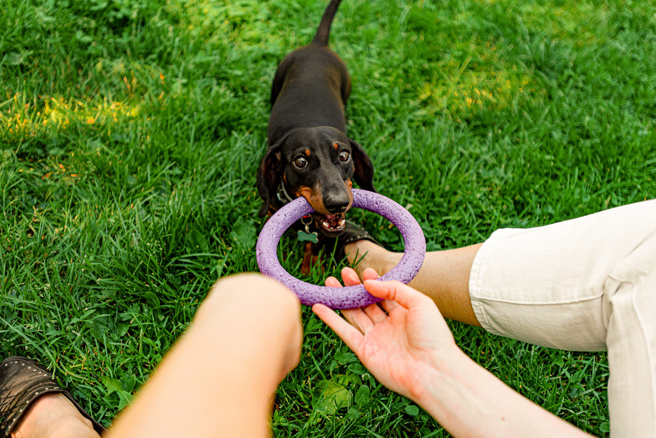 Малыш Гранд и его Таня на чистых прудах. Фотограф — анималист Саратов/Москва|Плужникова Юлия