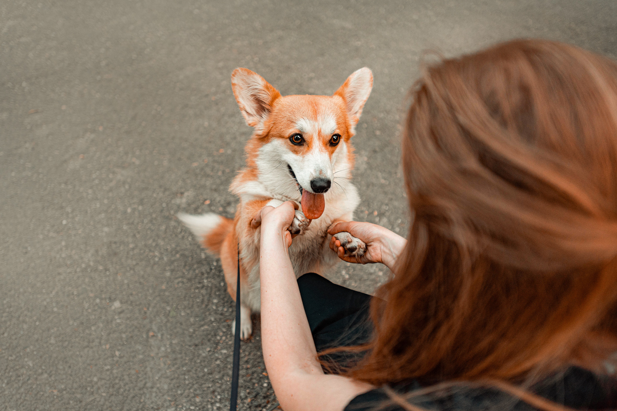 Ежа и Даша в Нескучном саду. Фотограф — анималист Саратов/Москва|Плужникова Юлия