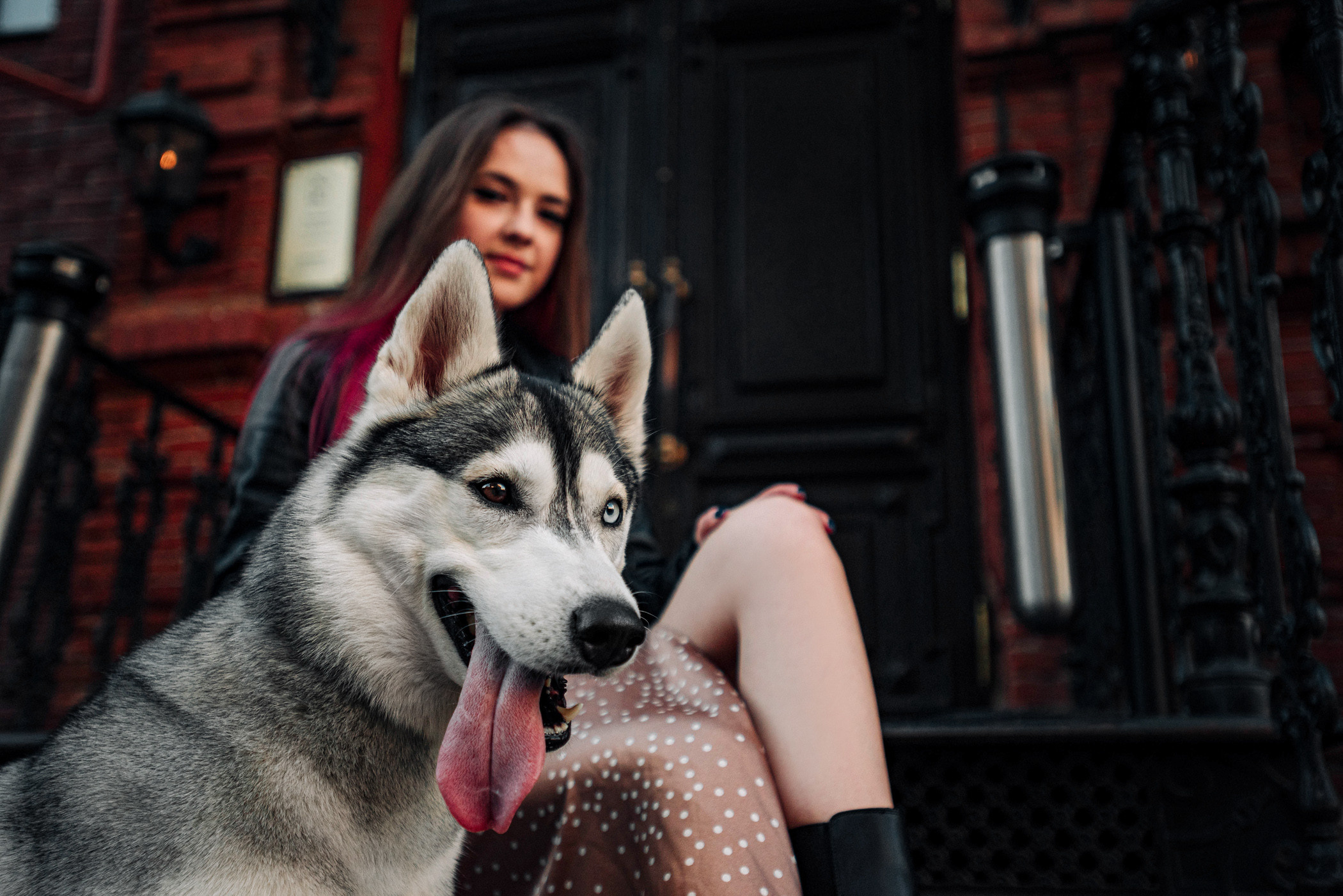 Настя и Грейс. Фотограф — анималист Саратов/Москва|Плужникова Юлия