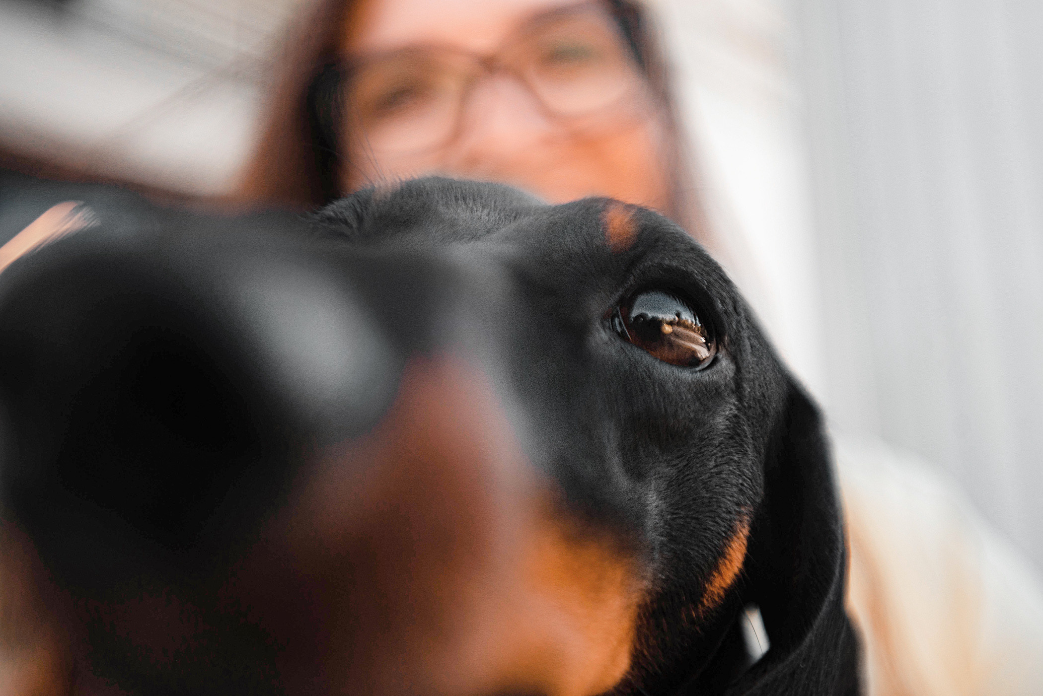 Малыш Гранд и его Таня на чистых прудах. Фотограф — анималист Саратов/Москва|Плужникова Юлия