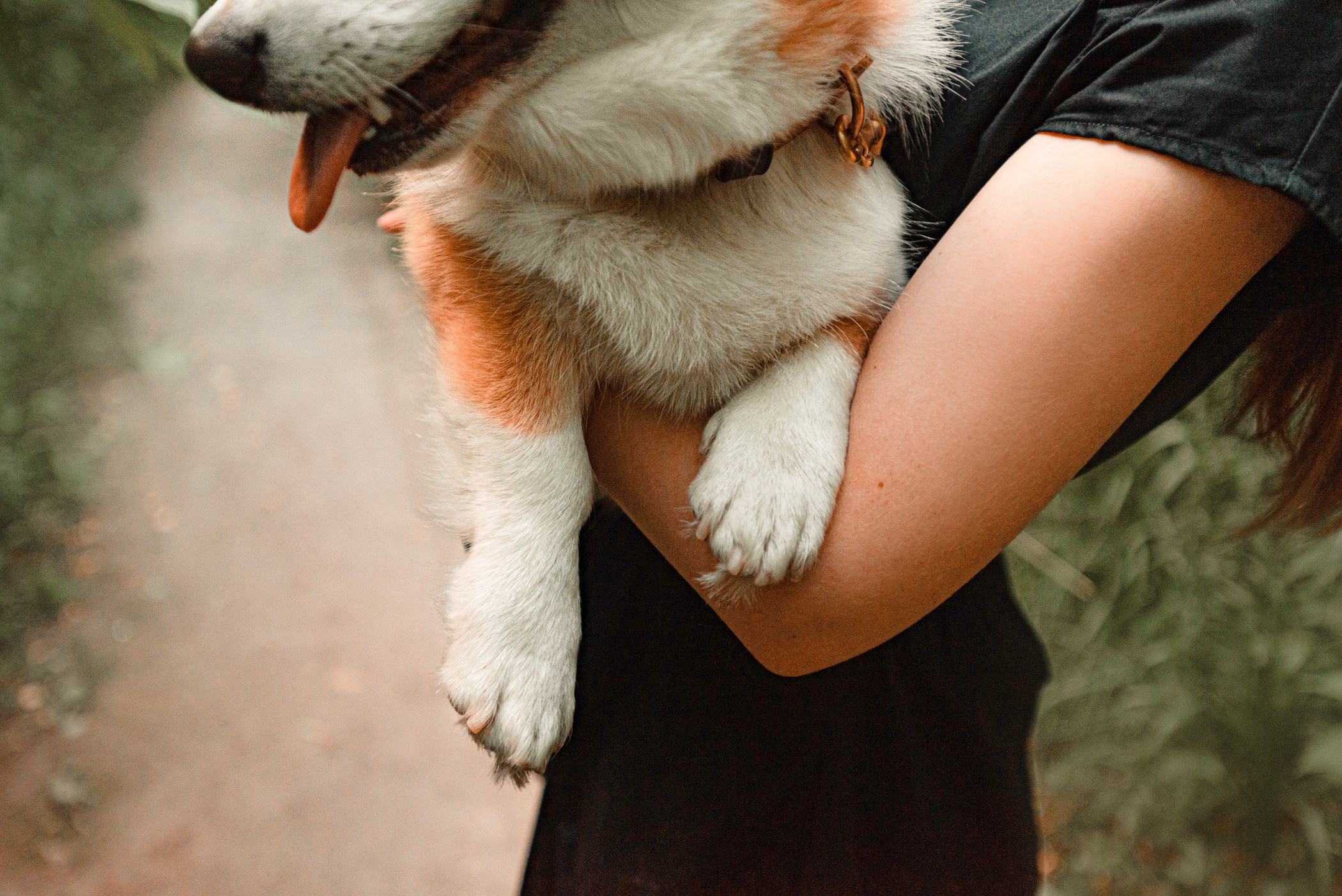 Ежа и Даша в Нескучном саду. Фотограф — анималист Саратов/Москва|Плужникова Юлия