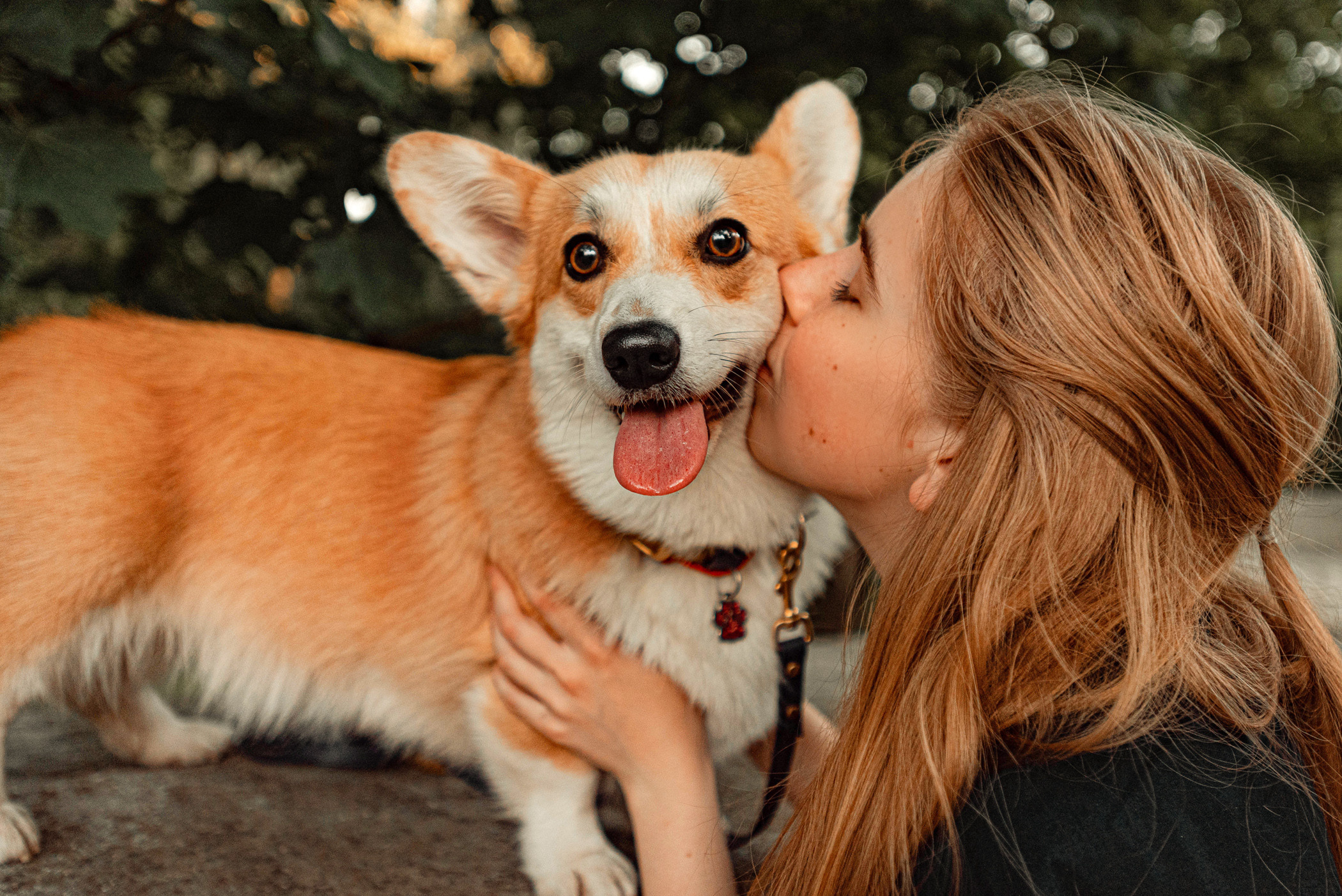 Ежа и Даша в Нескучном саду. Фотограф — анималист Саратов/Москва|Плужникова Юлия