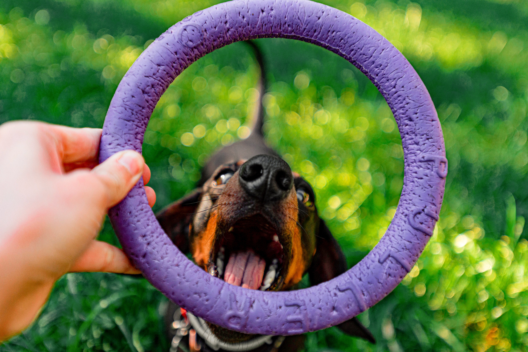 Малыш Гранд и его Таня на чистых прудах. Фотограф — анималист Саратов/Москва|Плужникова Юлия