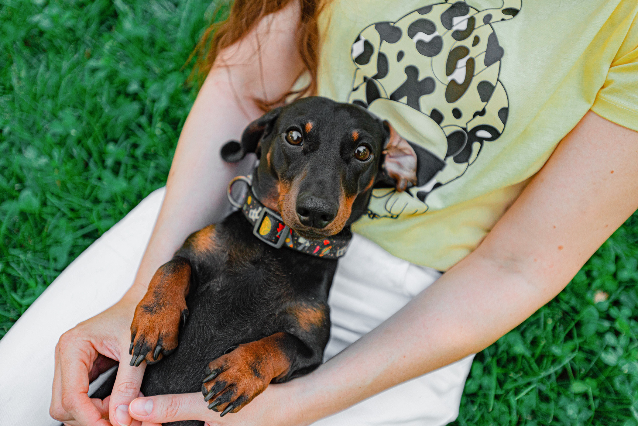 Малыш Гранд и его Таня на чистых прудах. Фотограф — анималист Саратов/Москва|Плужникова Юлия