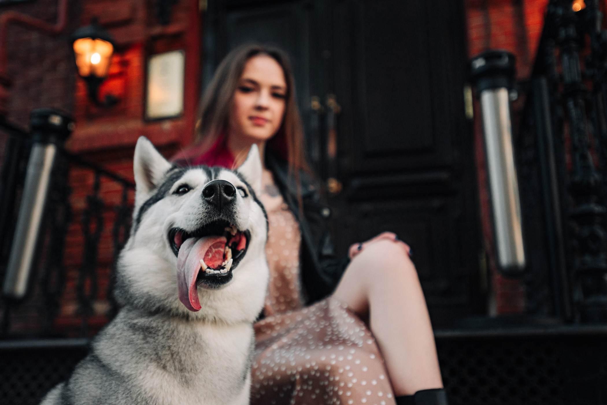 Настя и Грейс. Фотограф — анималист Саратов/Москва|Плужникова Юлия