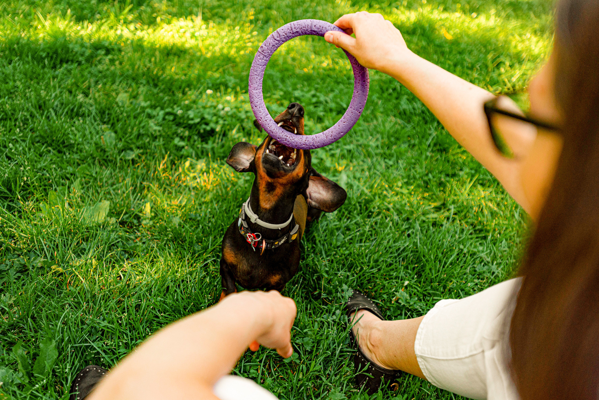 Малыш Гранд и его Таня на чистых прудах. Фотограф — анималист Саратов/Москва|Плужникова Юлия