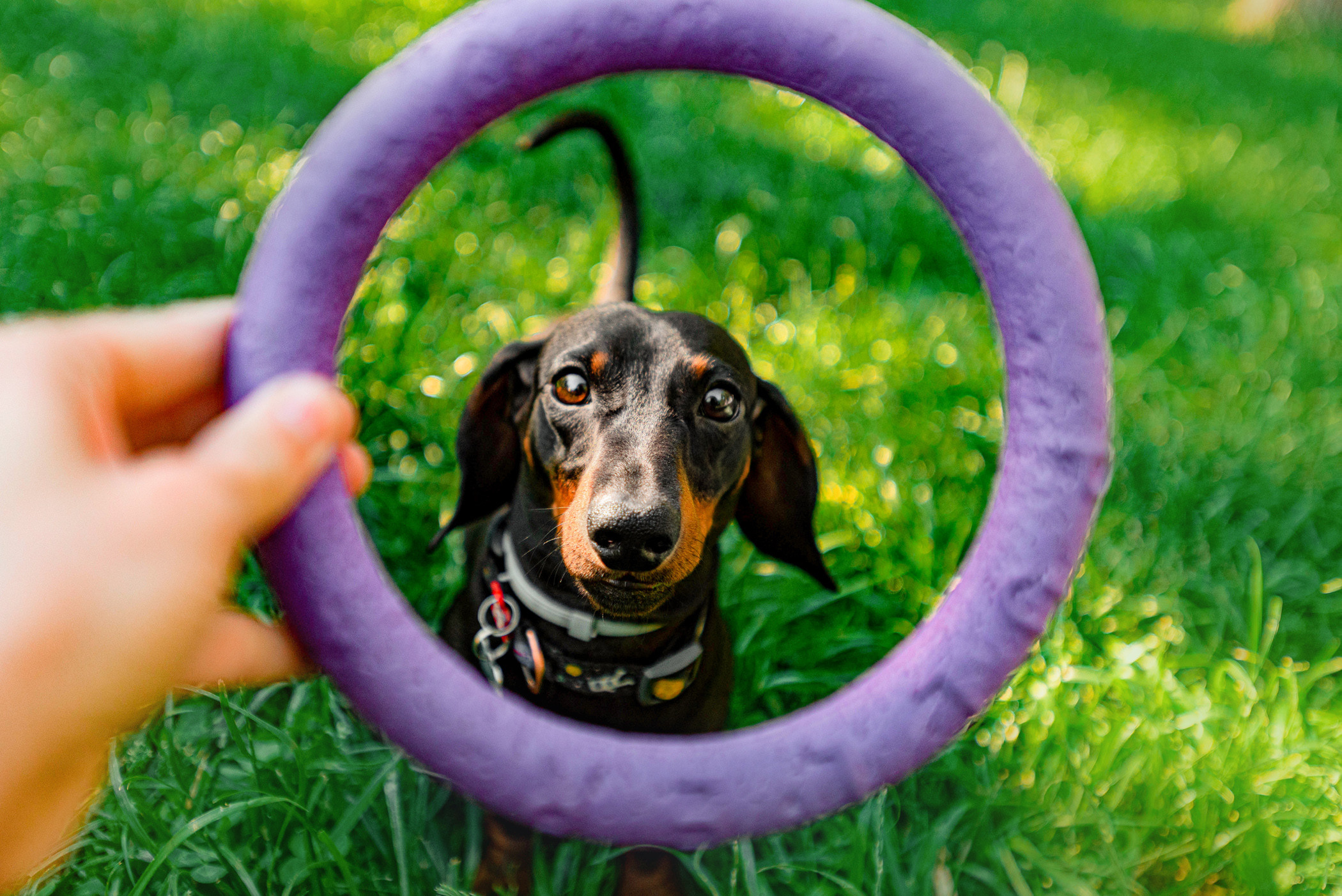 Малыш Гранд и его Таня на чистых прудах. Фотограф — анималист Саратов/Москва|Плужникова Юлия