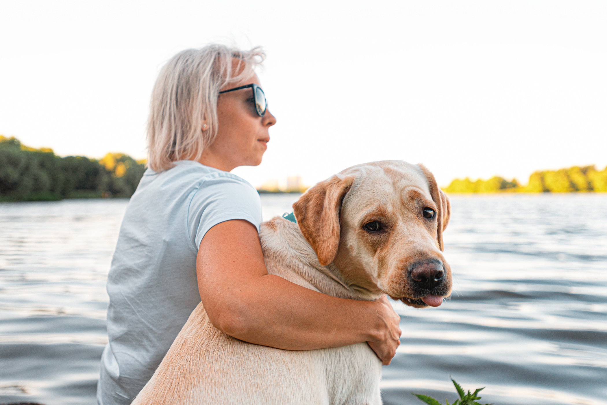 Зефирка и ее чудесная семья на летнем закате. Фотограф — анималист Саратов/Москва|Плужникова Юлия