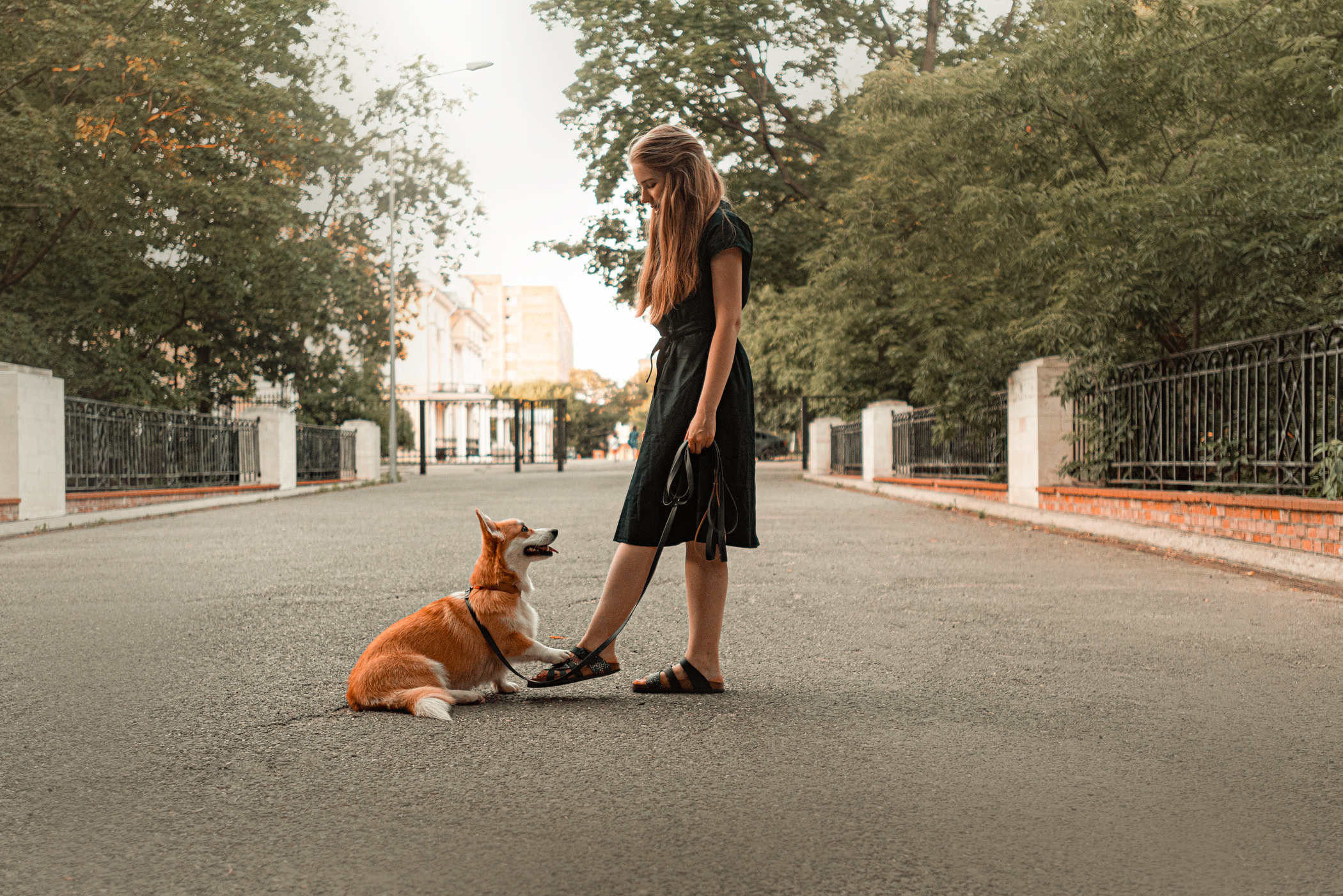 Ежа и Даша в Нескучном саду. Фотограф — анималист Саратов/Москва|Плужникова Юлия