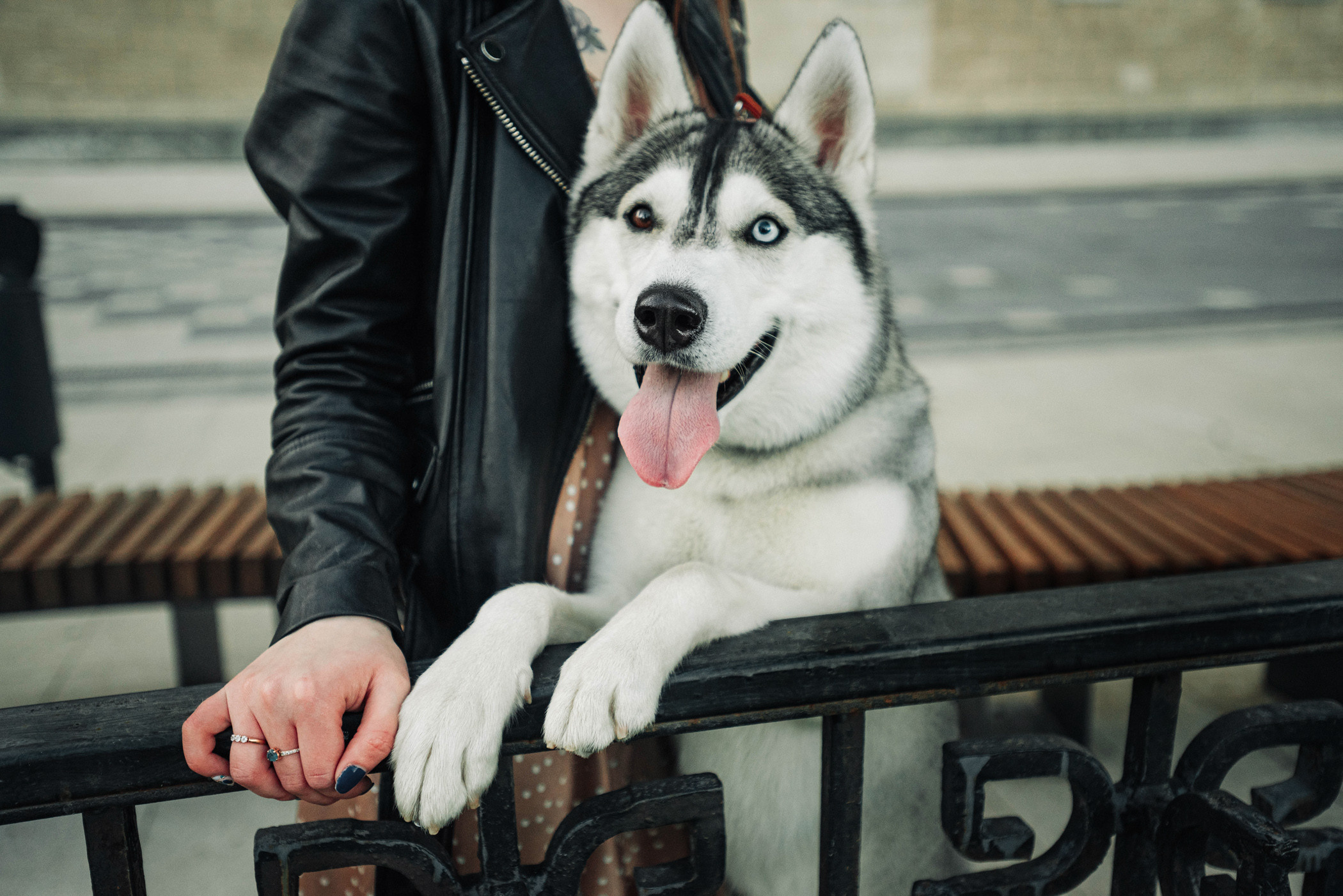 Настя и Грейс. Фотограф — анималист Саратов/Москва|Плужникова Юлия