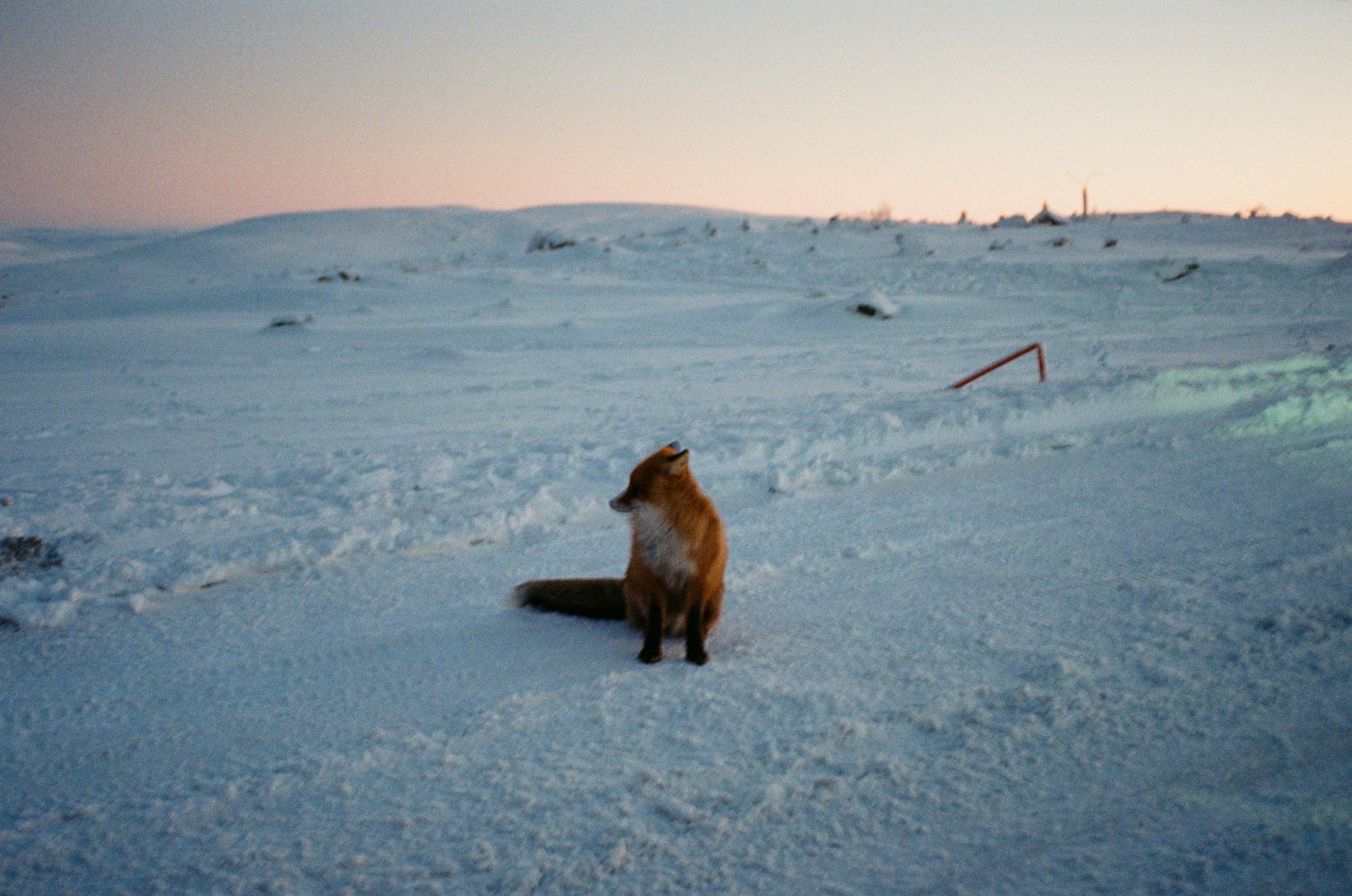 Roadtrip. Maria Abdullaeva