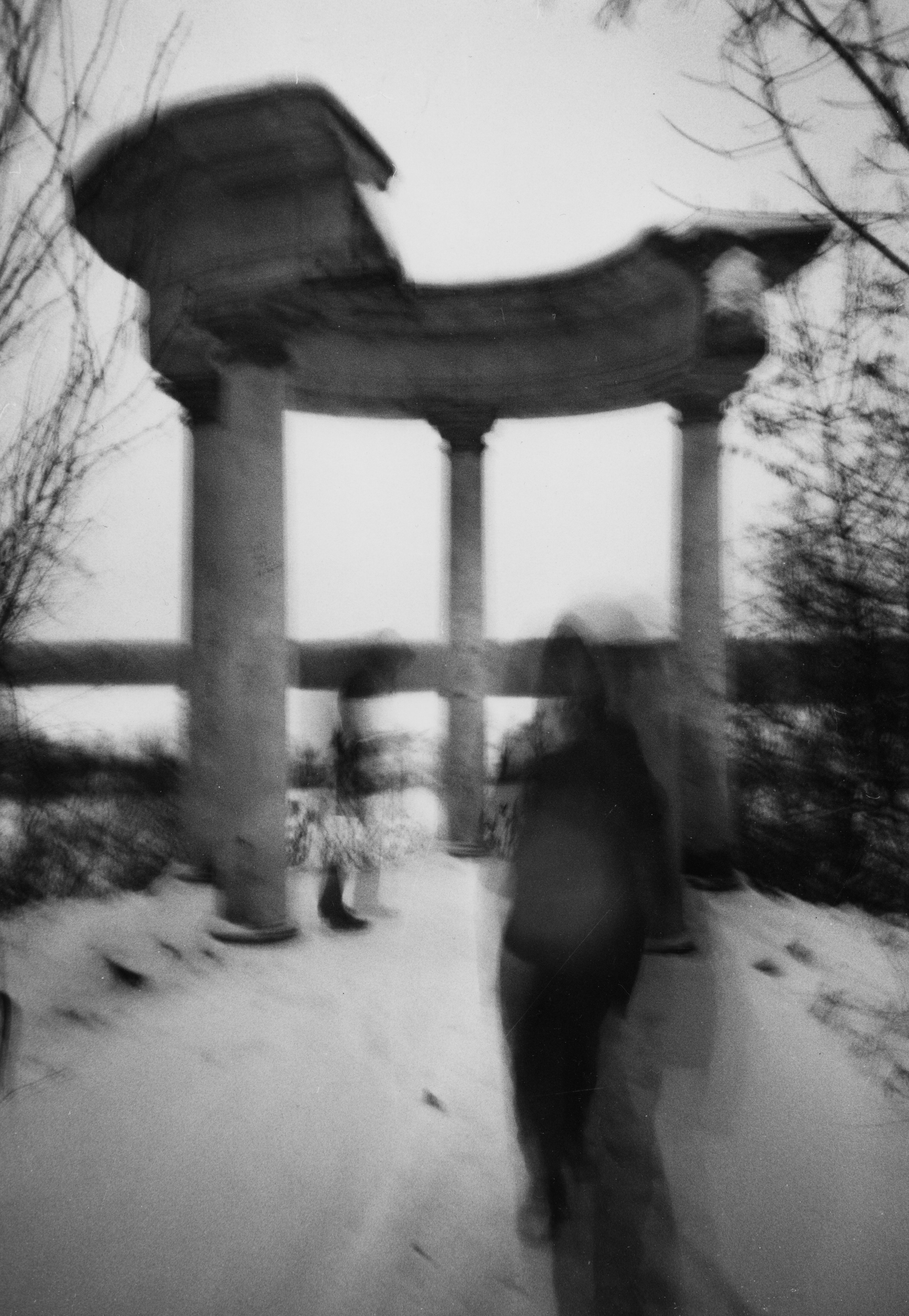 Prints. Maria Abdullaeva