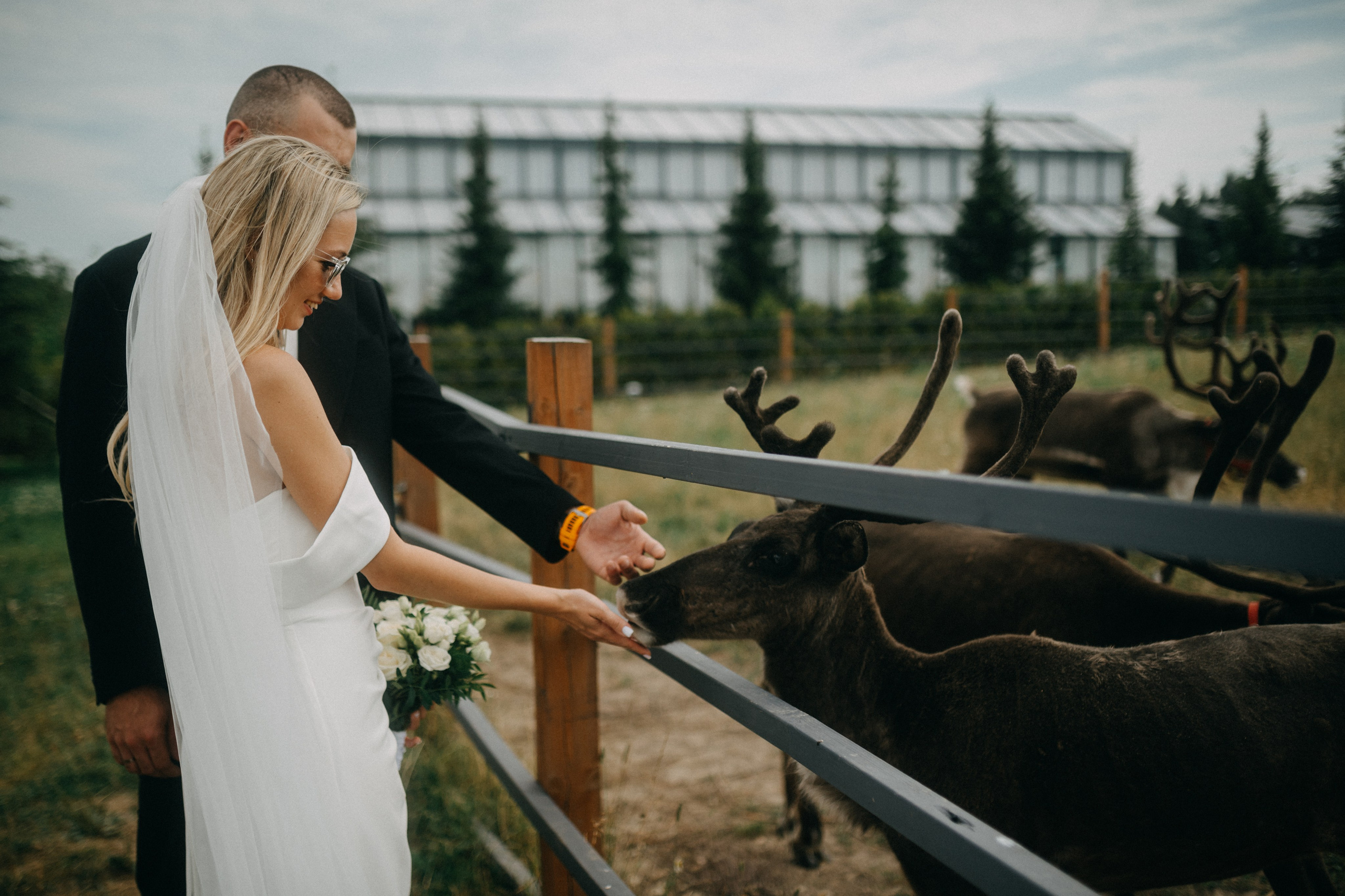 Данила и Кристина 29.07.25 весь день. Фотограф в Санкт Петербурге Лара Великова