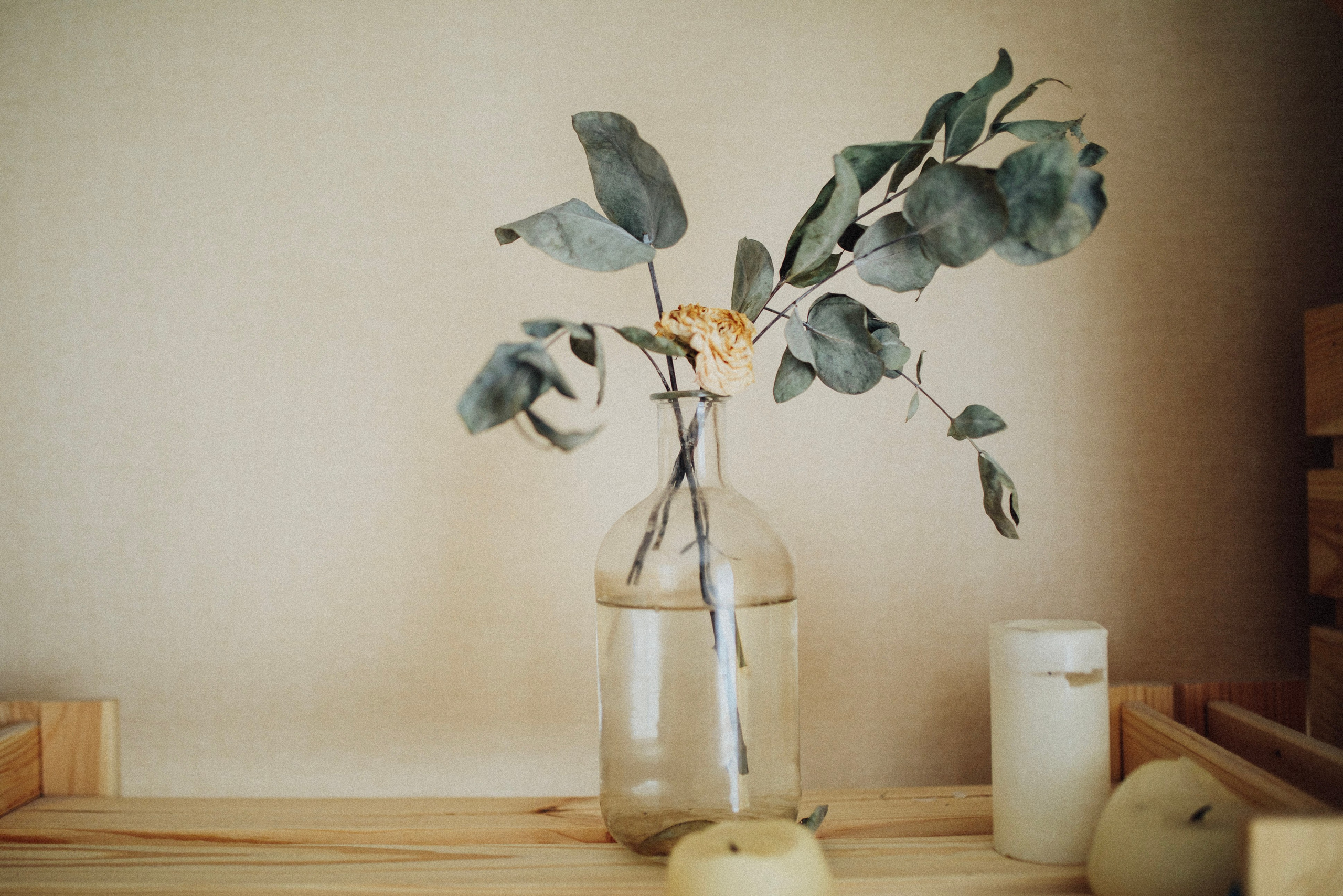 Илья и Анастасия. Фотограф Станислав Викулов в Чите