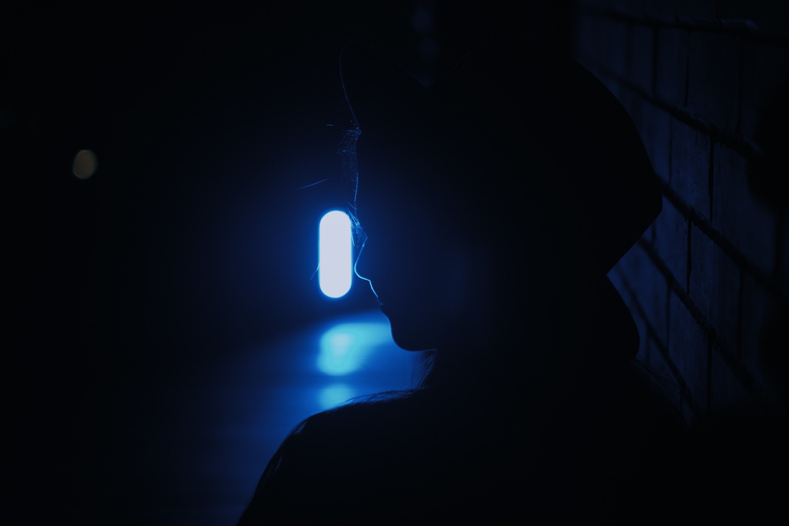 ПОМРЕЖ | Новая земля