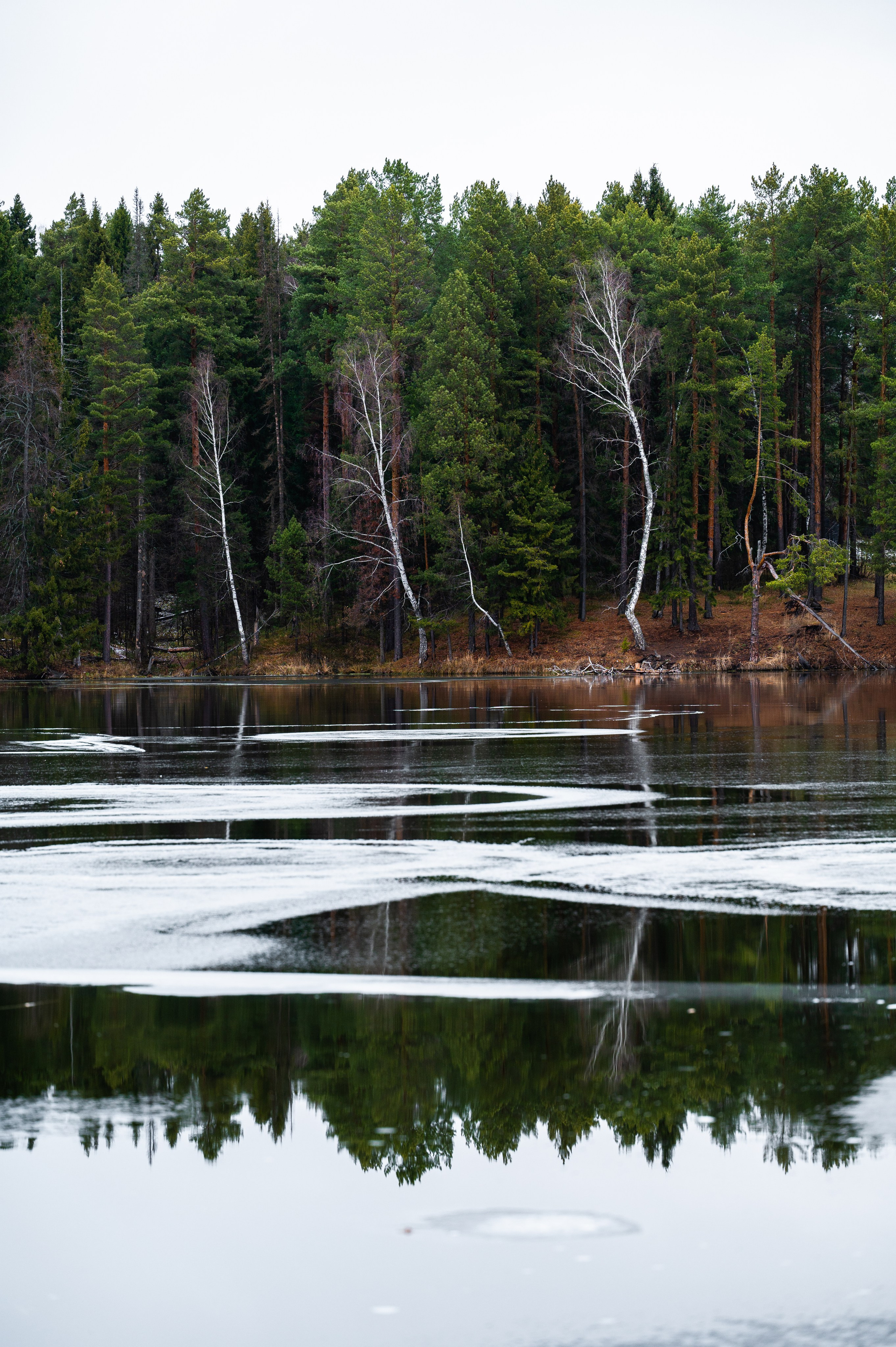 Природа. Максим Егоров, г. Ижевск. Репортажная, предметная съёмка и фуд-фотография