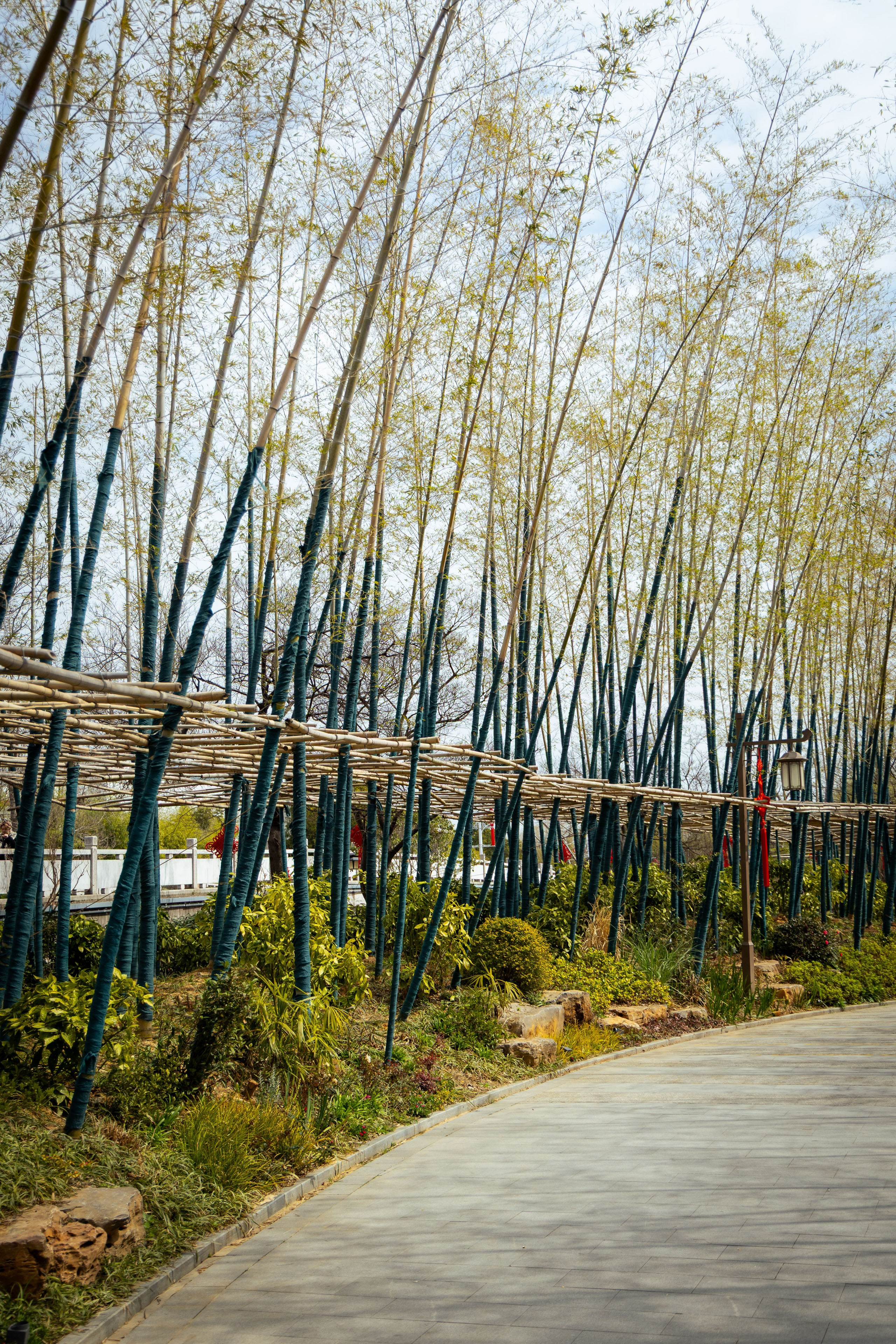 Шанхай (март 2026). Фотограф Виноградов Константин