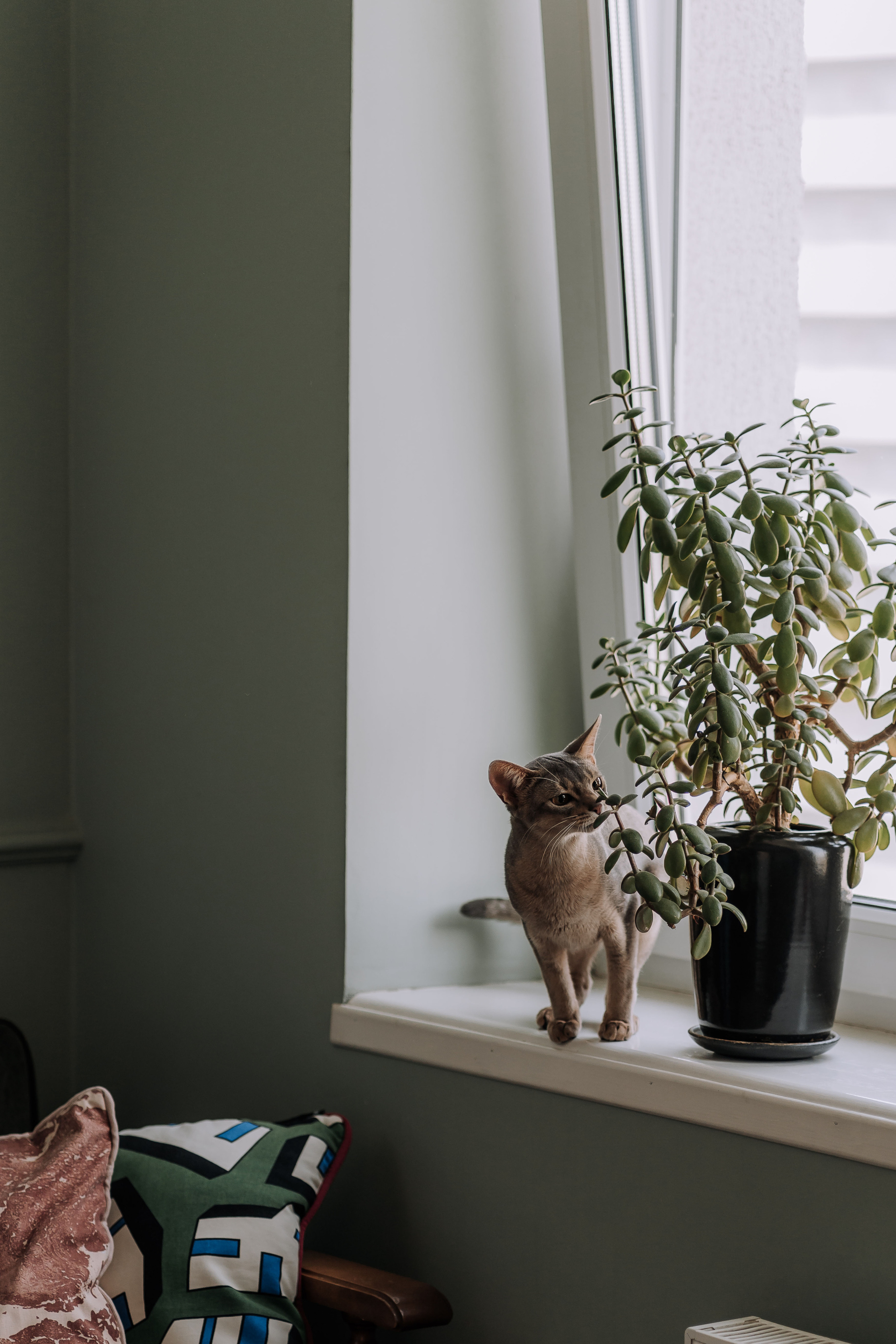 Nikolay & Anna. Главная