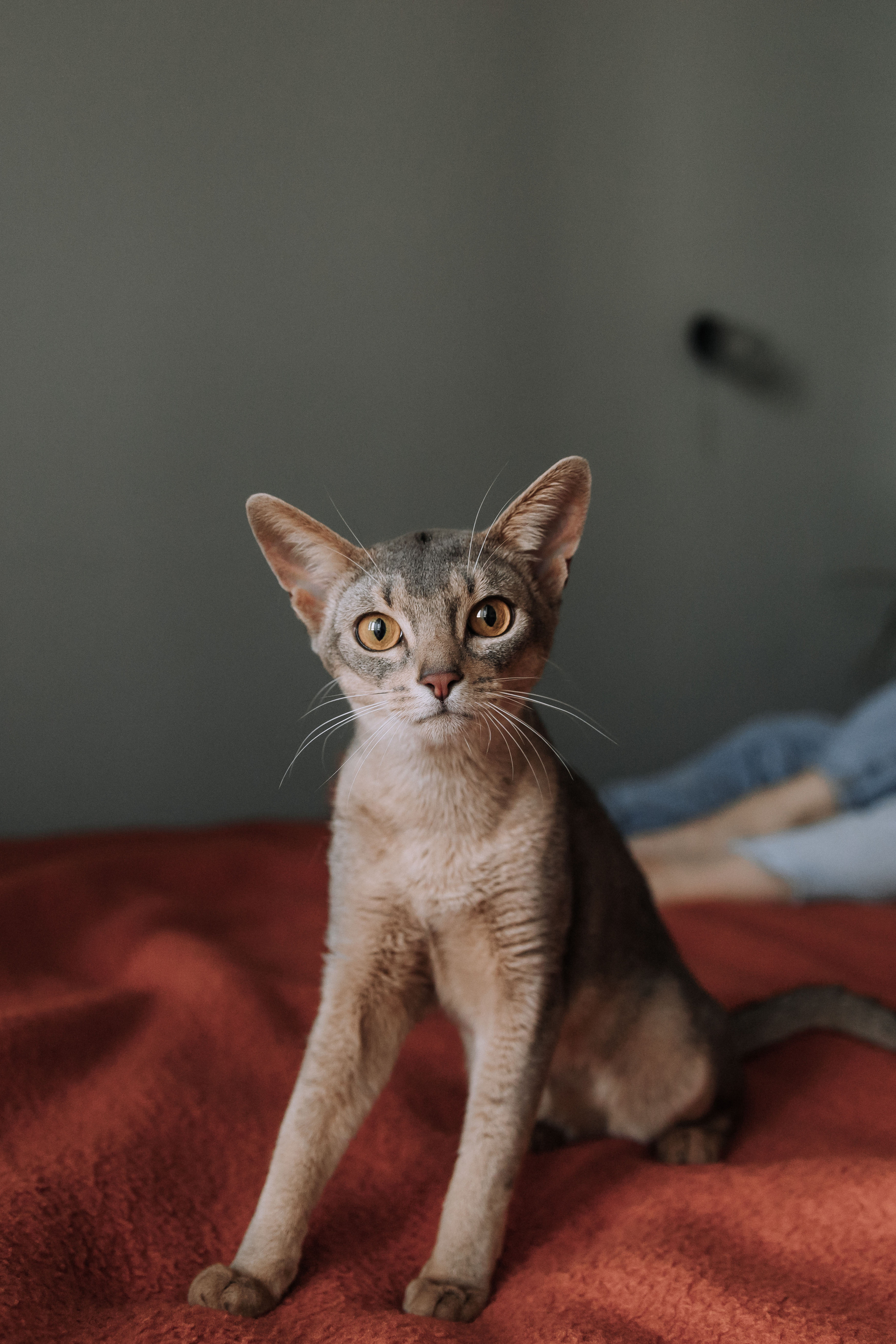 Nikolay & Anna. Главная