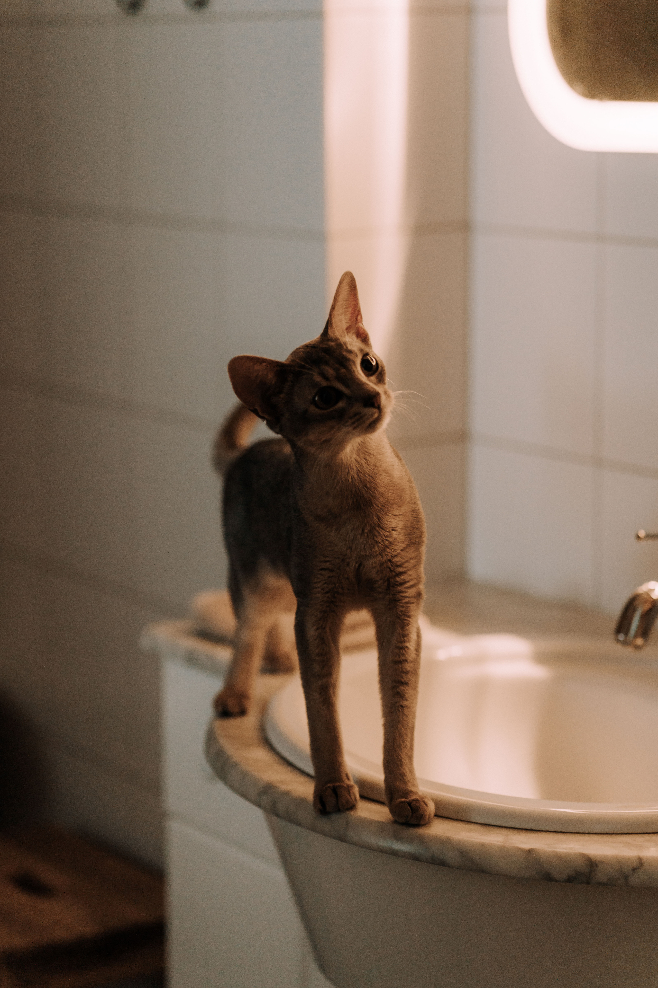 Nikolay & Anna. Главная