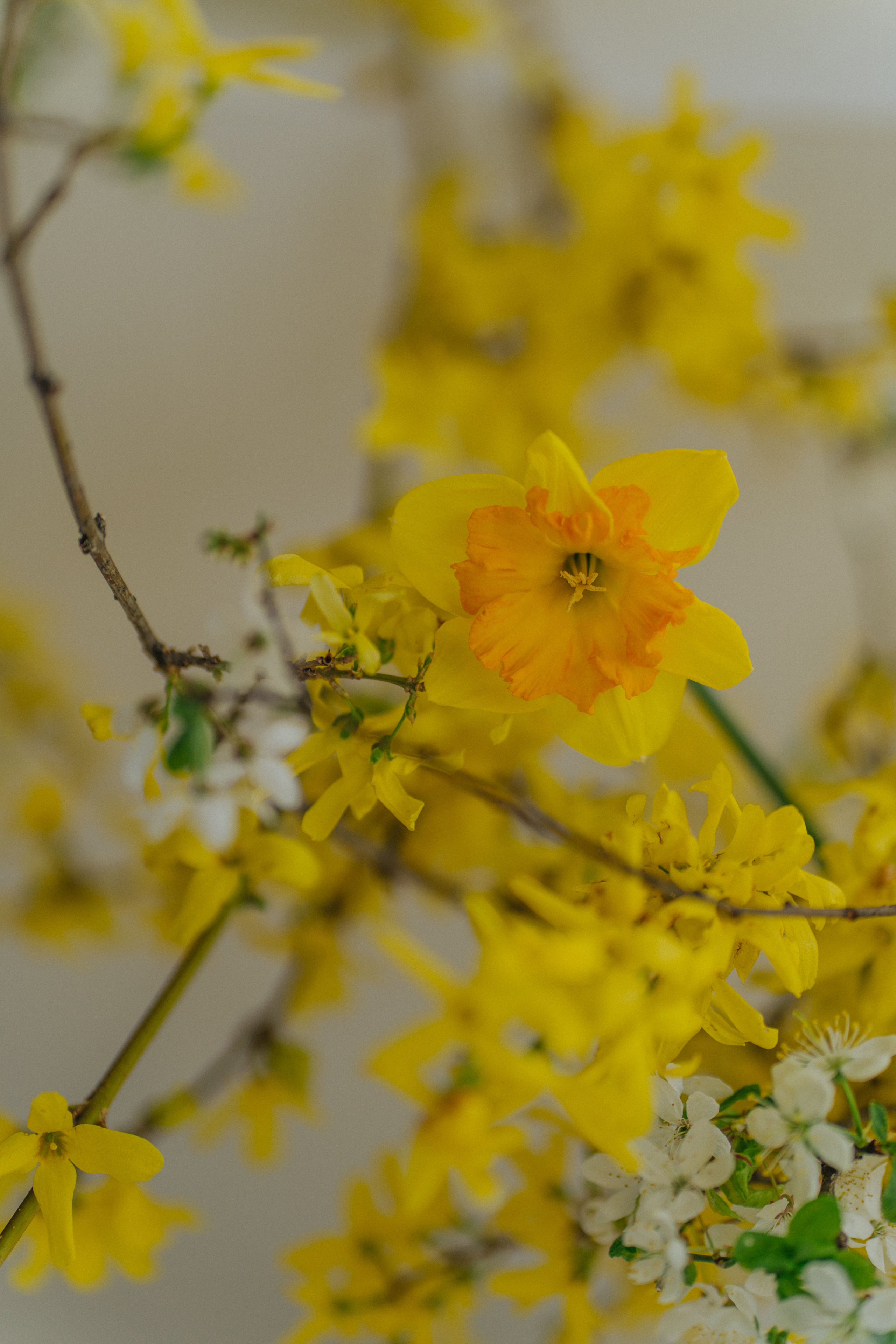 Максим & Юля. Главная