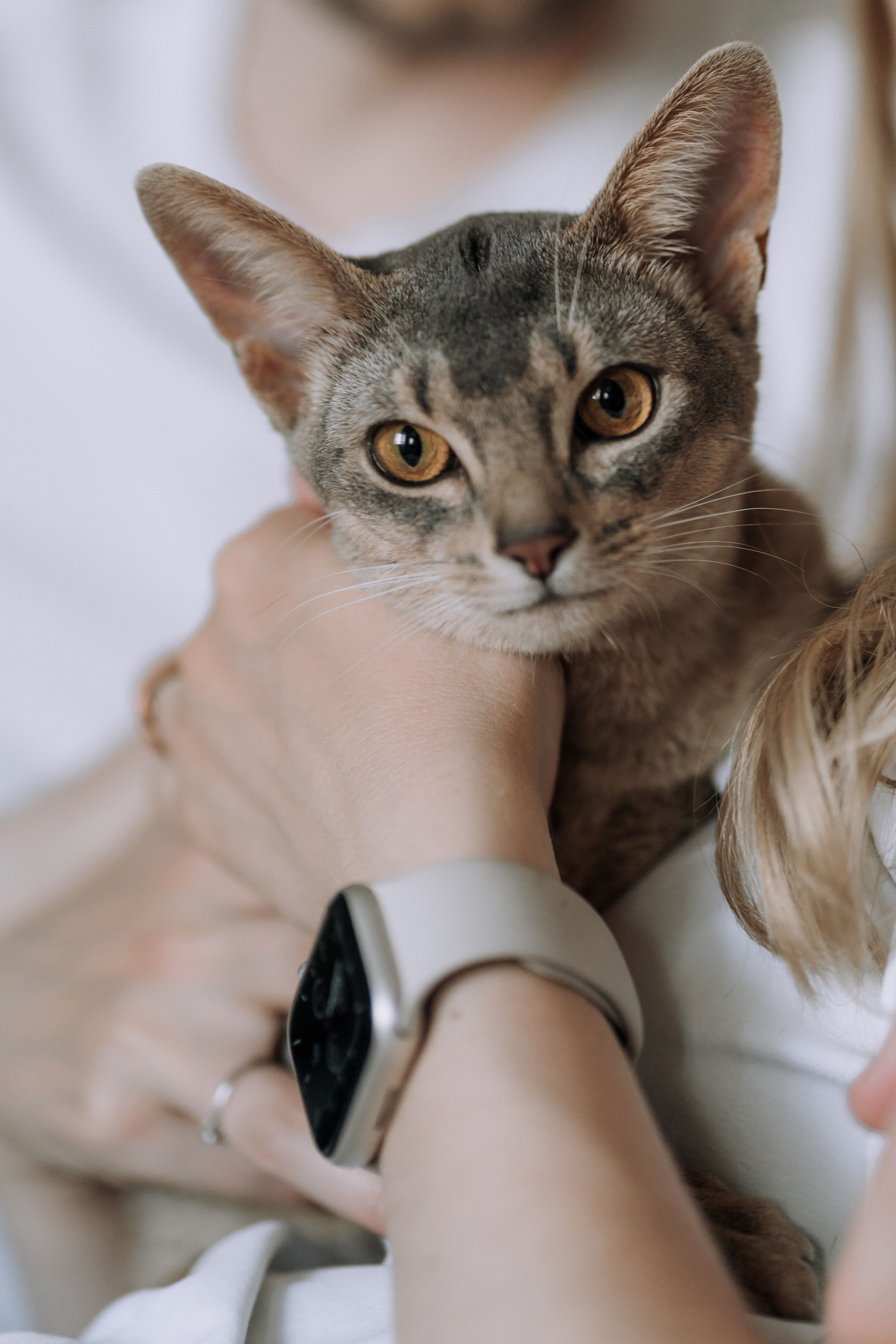 Nikolay & Anna. Главная