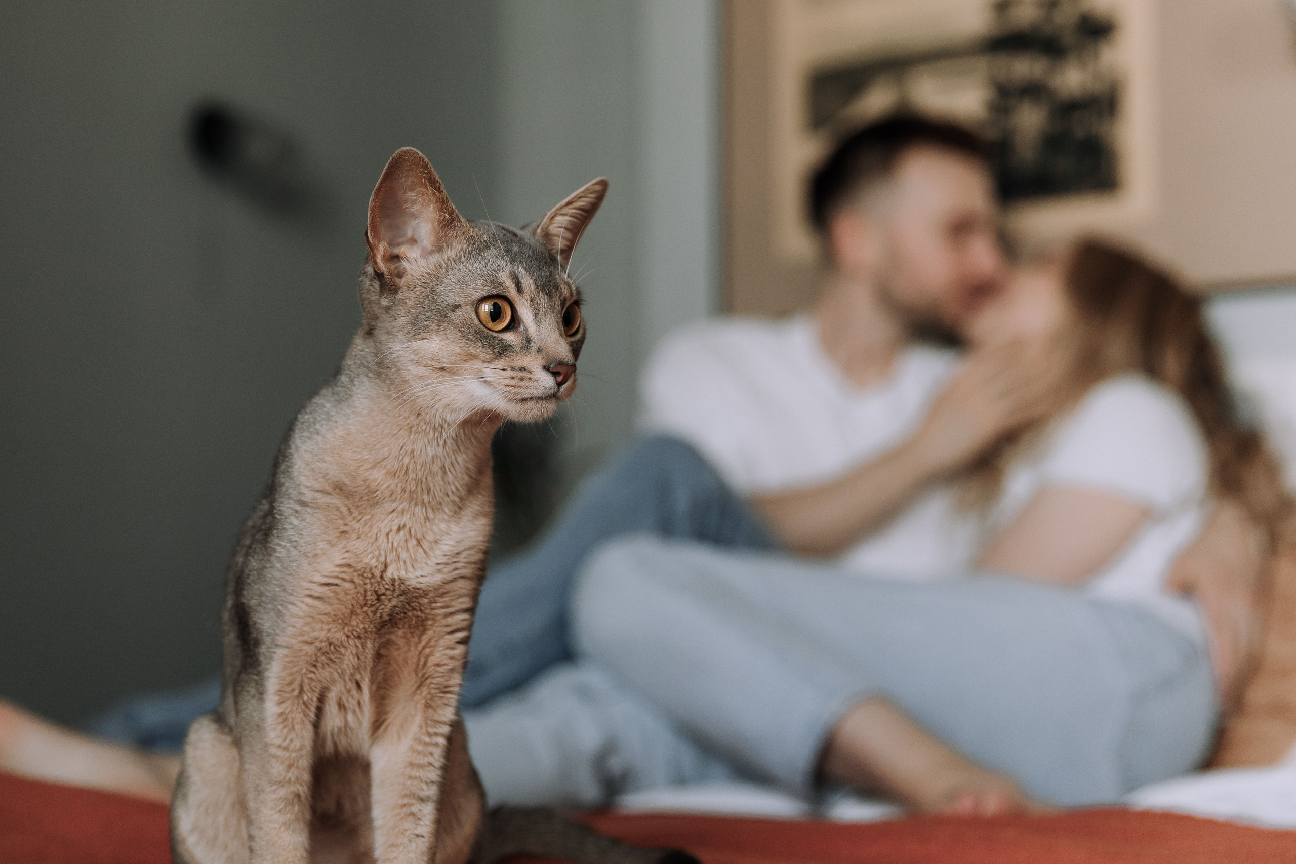 Nikolay & Anna. Главная