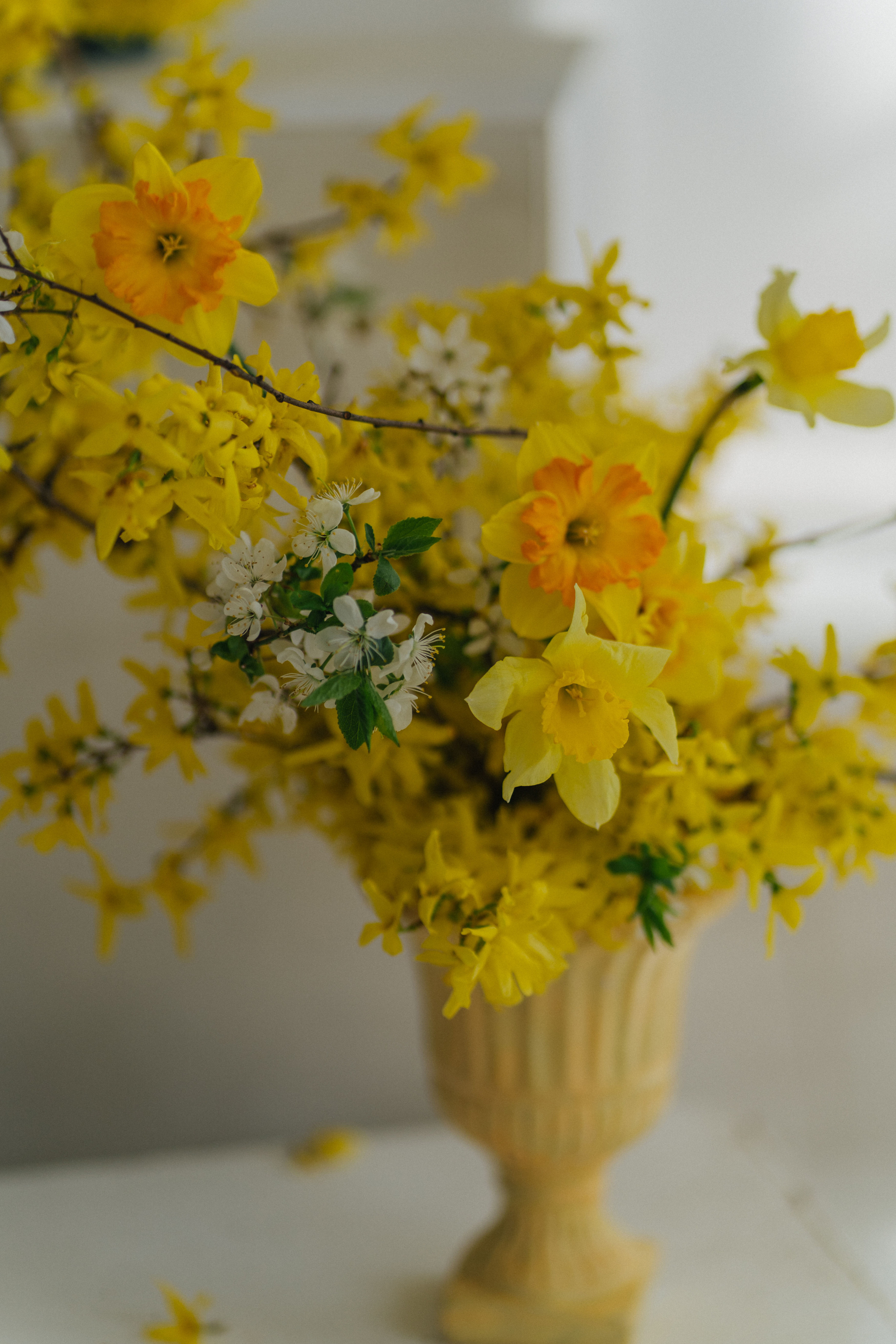 Максим & Юля. Главная