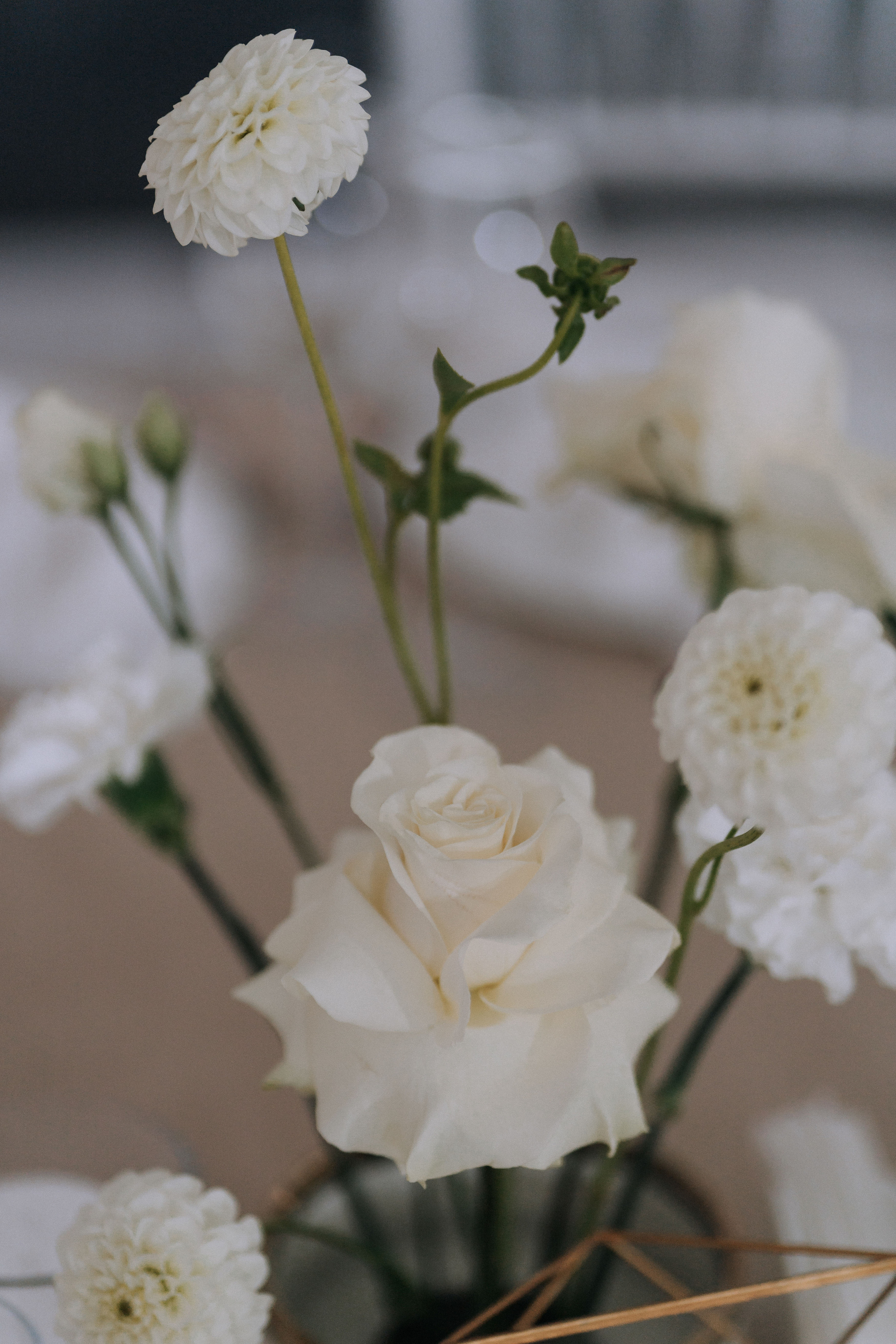 Vladislav & Elizabeth. Главная