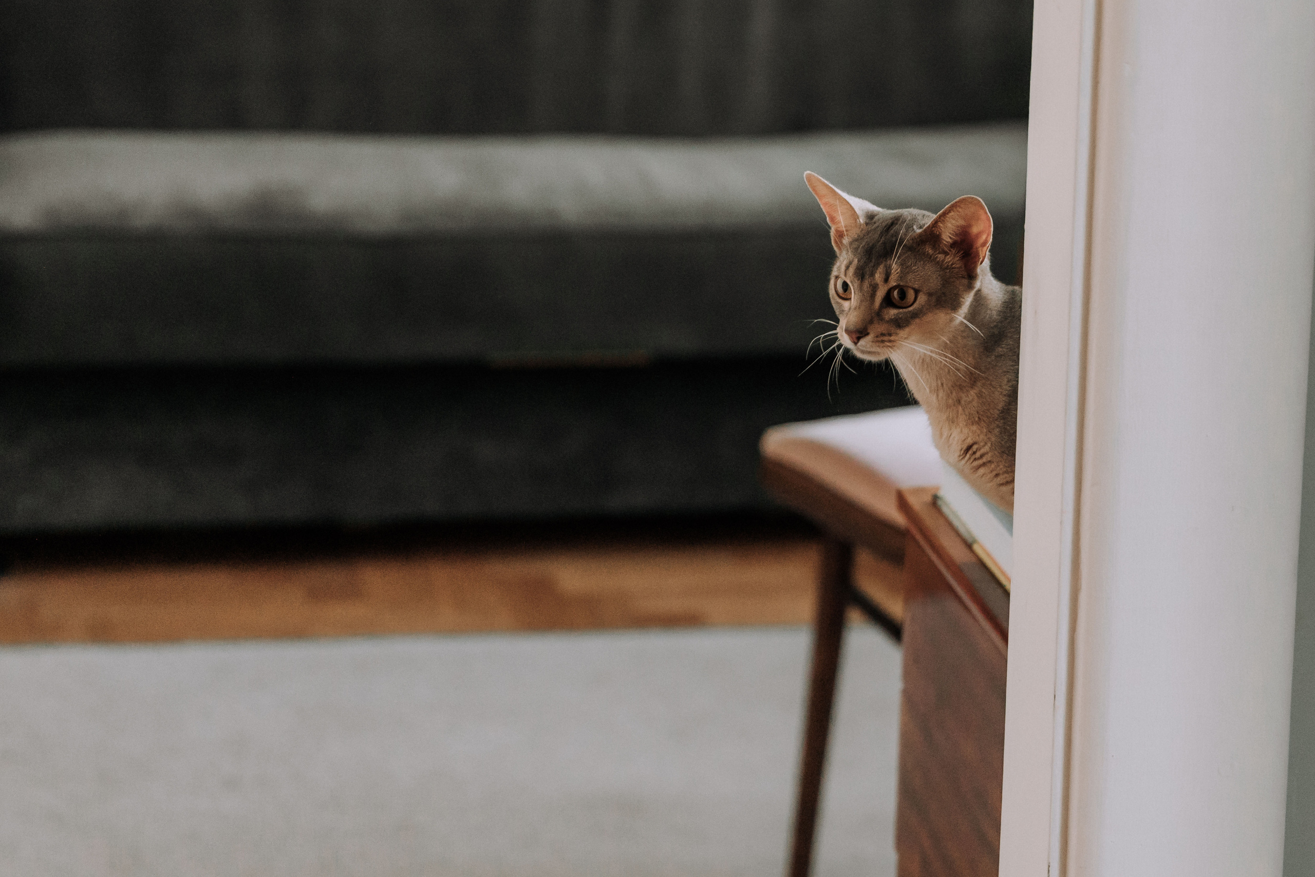 Nikolay & Anna. Главная