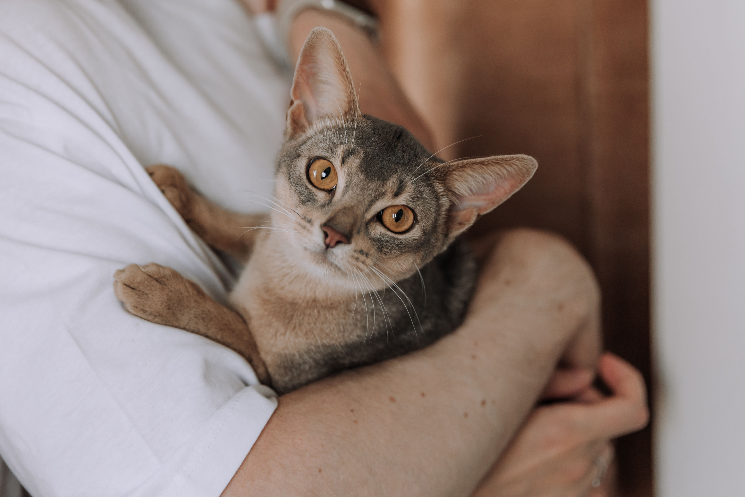 Nikolay & Anna. Главная