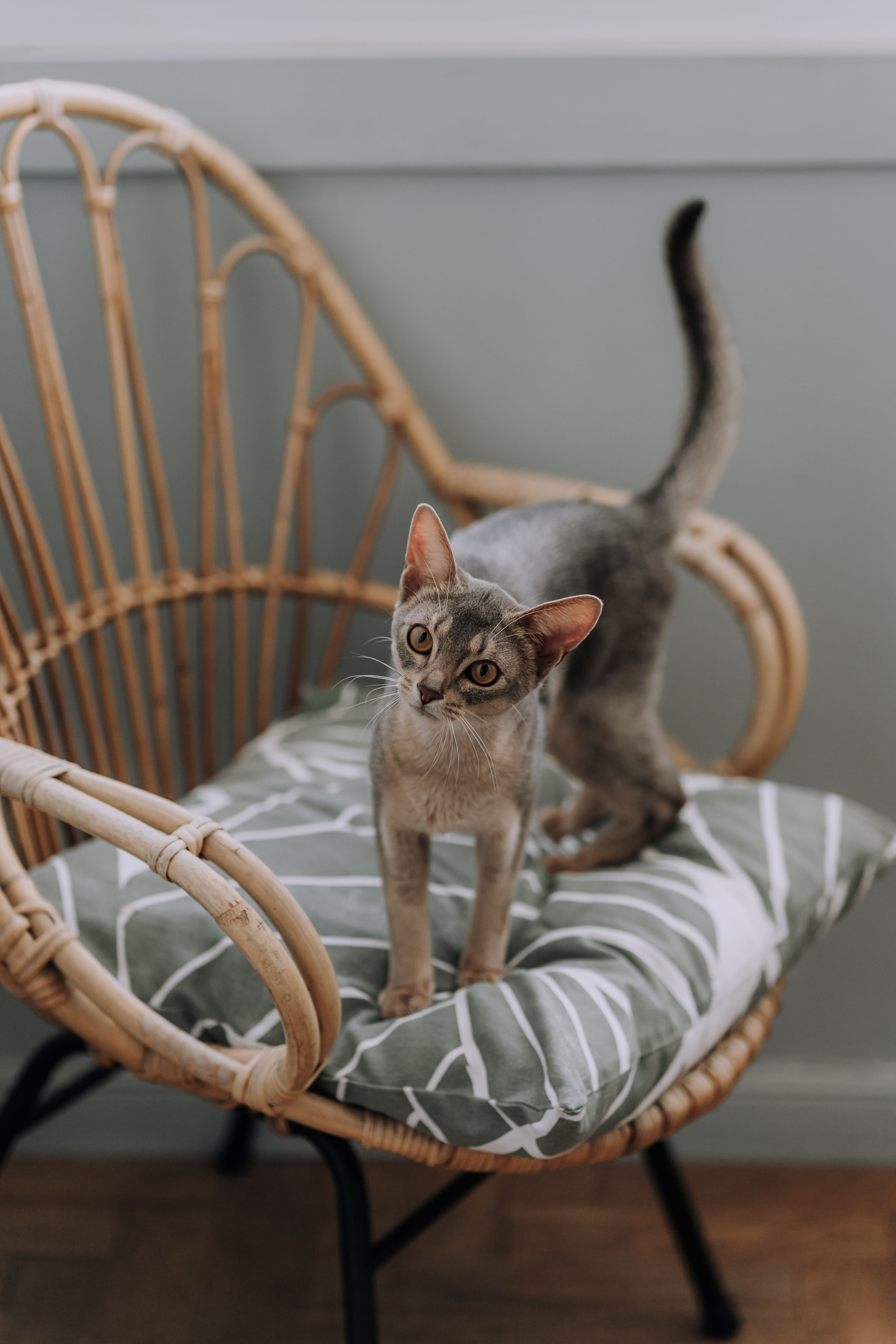 Nikolay & Anna. Главная