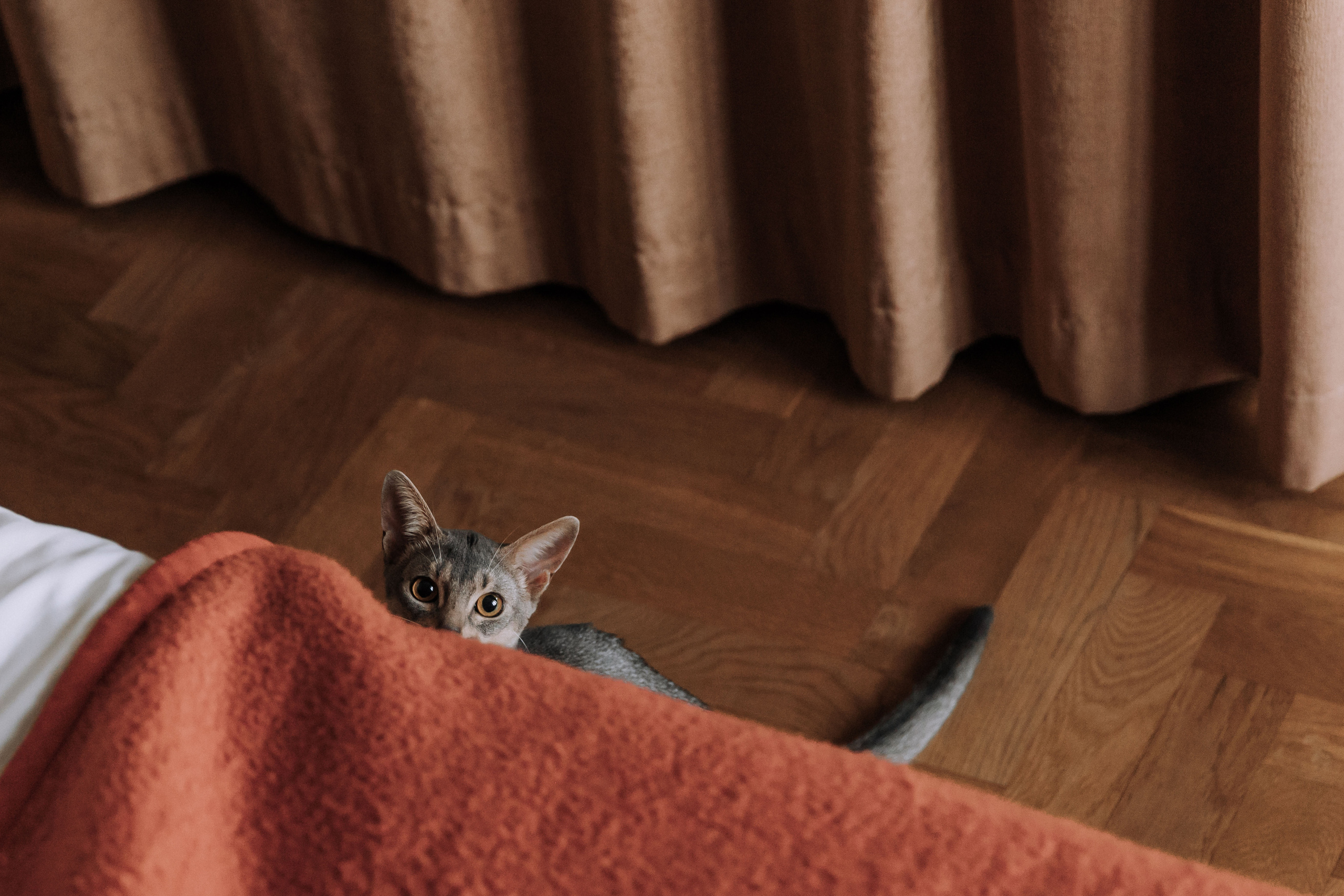 Nikolay & Anna. Главная