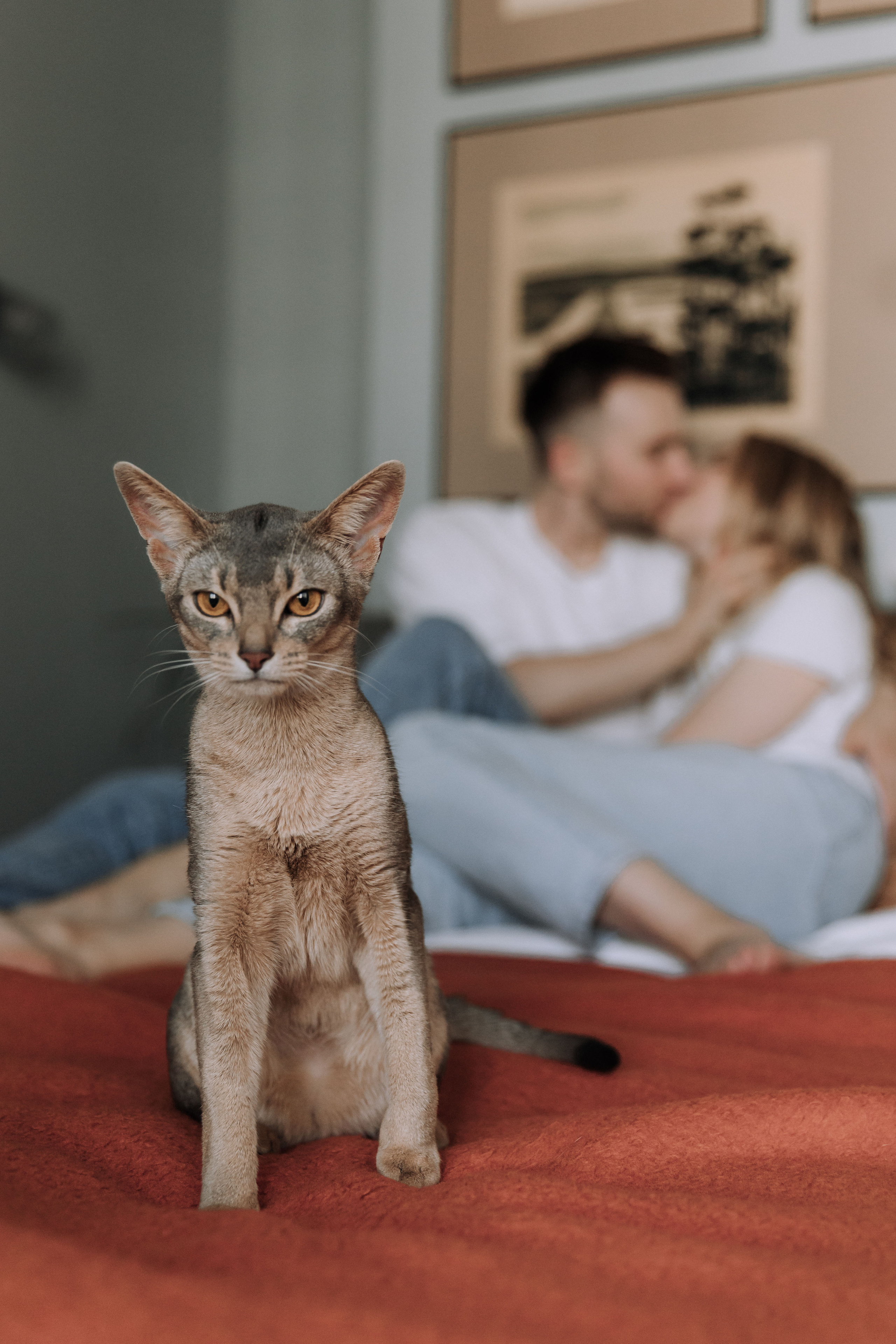 Nikolay & Anna. Главная