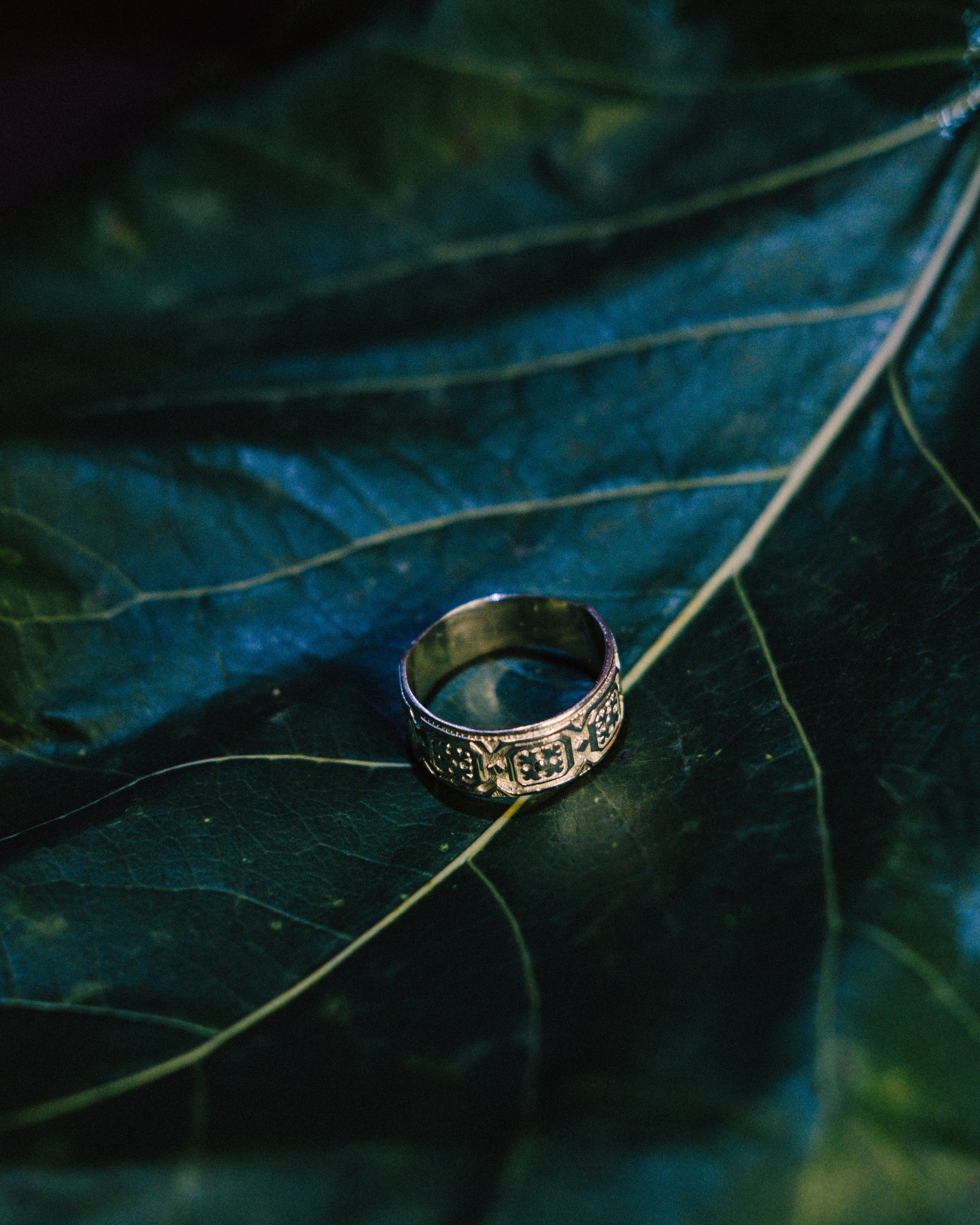 Бренды. Фотограф из Хакасии Элина Кичеева