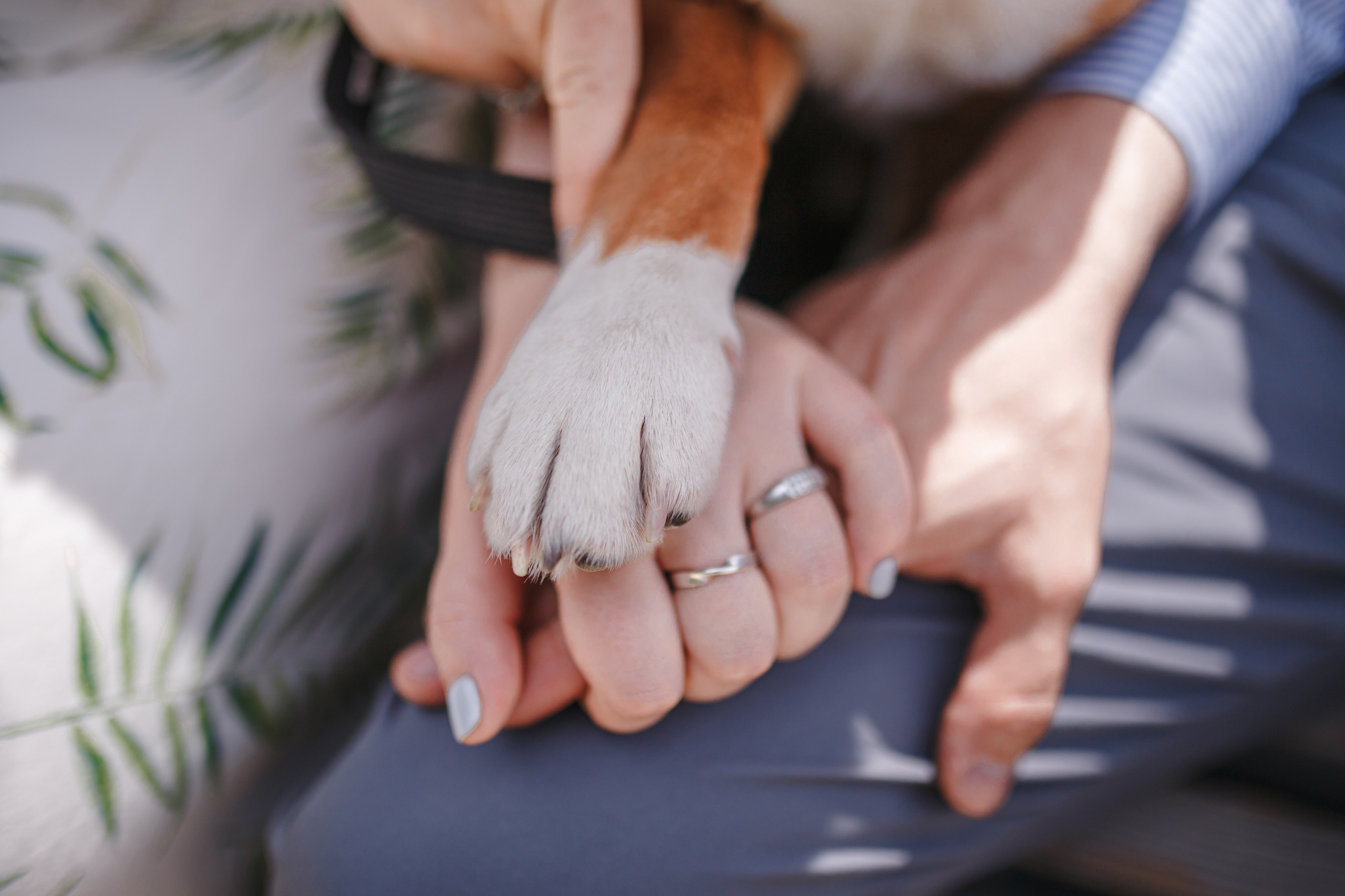 KATE&SLAVA. Анастасия Вайнер — свадебный и портретный фотограф в Германии и по всей Европе