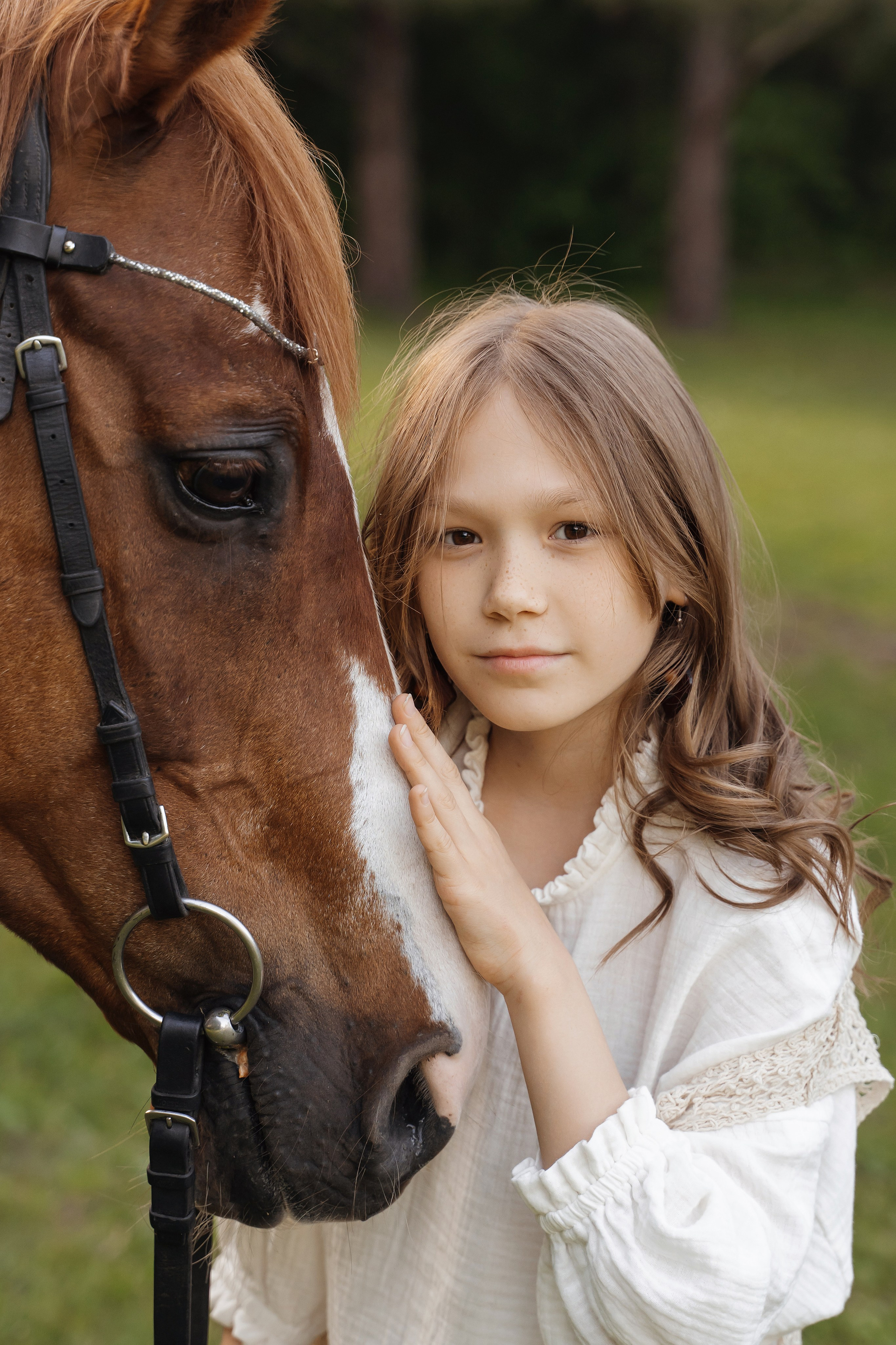 Семейная история с лошадьми. Главная