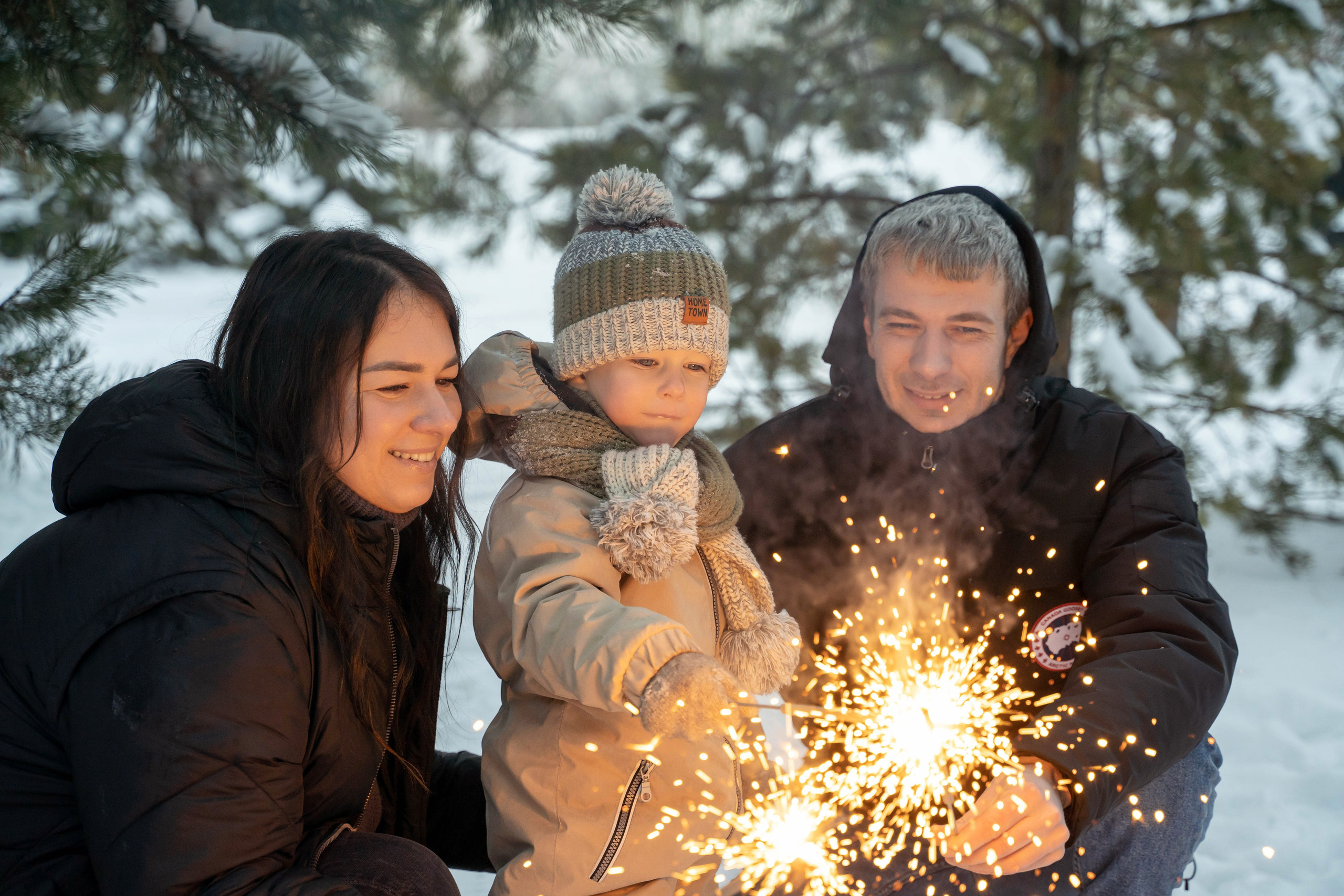 Зимняя прогулка. Главная