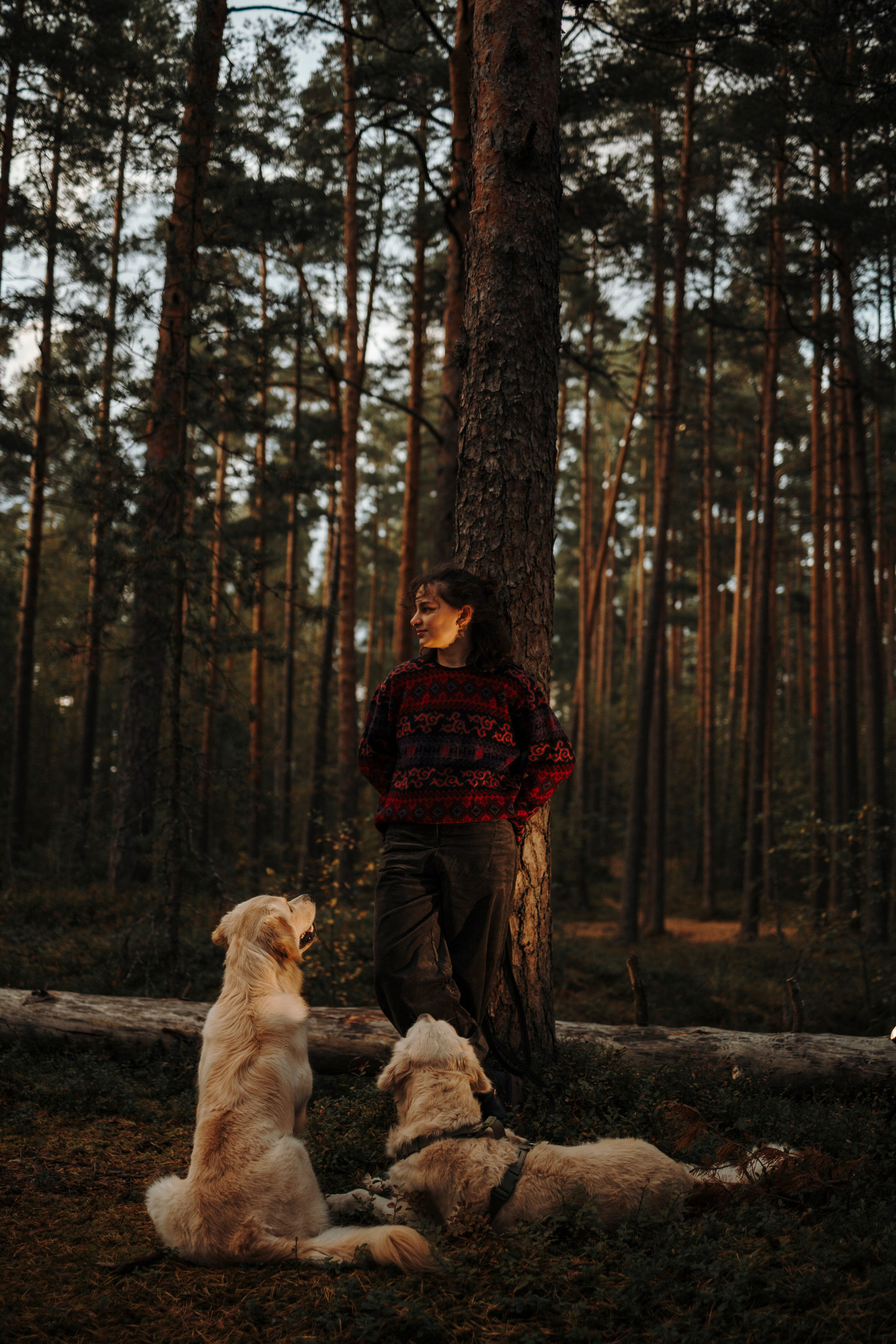 Прогулка Насти с Арчи и Арагоном. Фотограф-анималист в Санкт-Петеребурге Титова Алиса