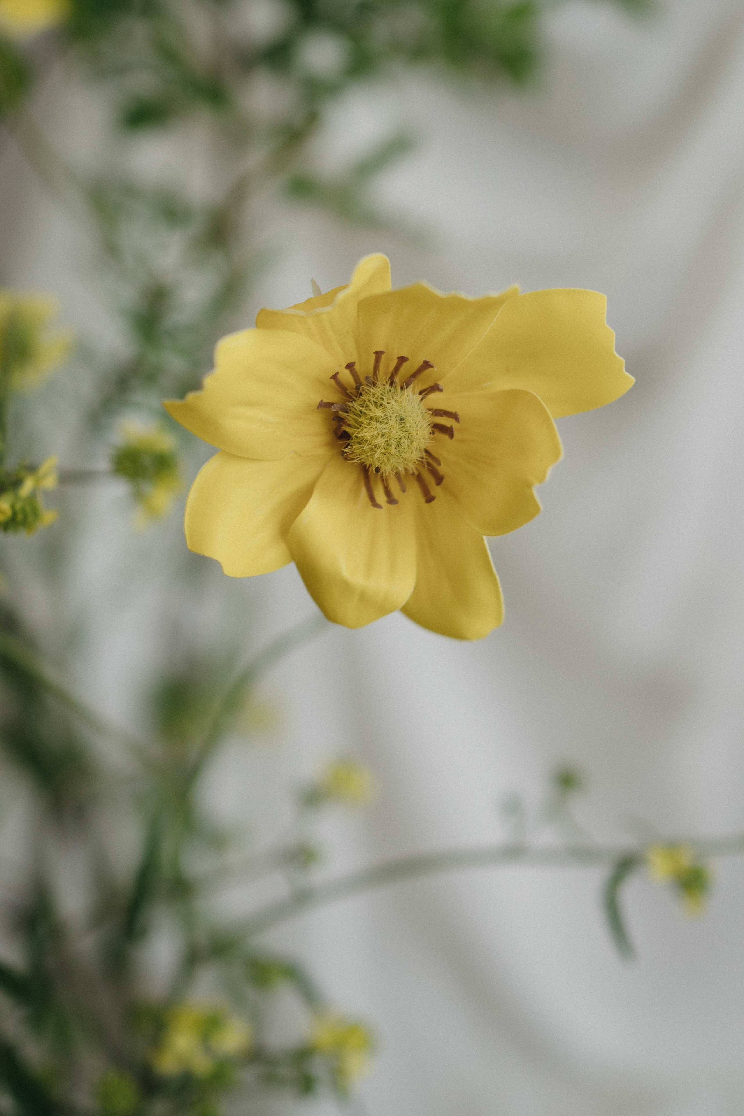 Скалистый берег 2024. Свадебный фотограф в Краснодаре и Сочи Винидиктова Екатерина