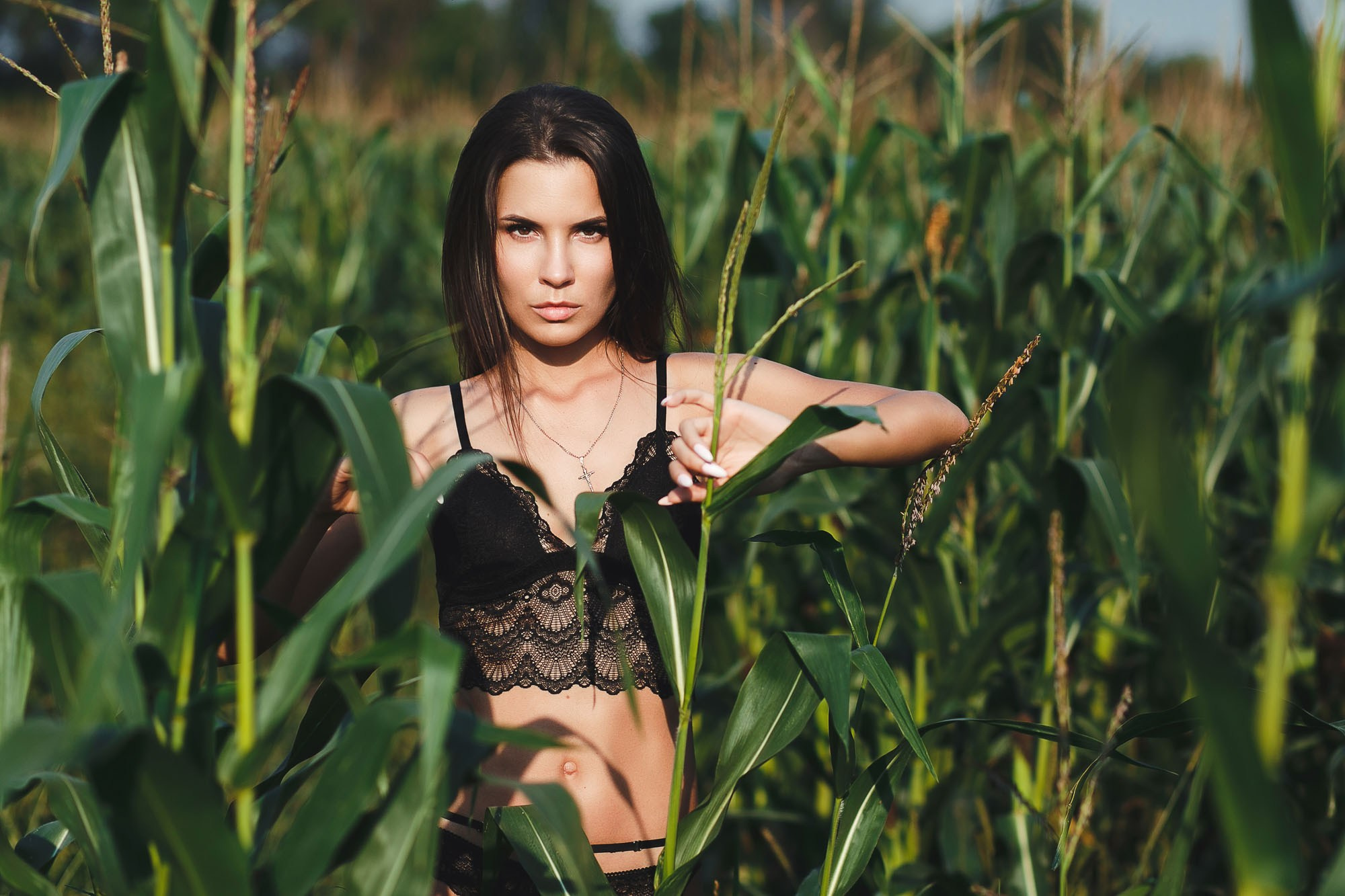 Фотосессия в кукурузе. Красивая девушка. Девушка в кукурузе. Фотограф Липецк Воронеж Тамбов. Красивая фотосессия. Портретная фотография. Портретный фотограф