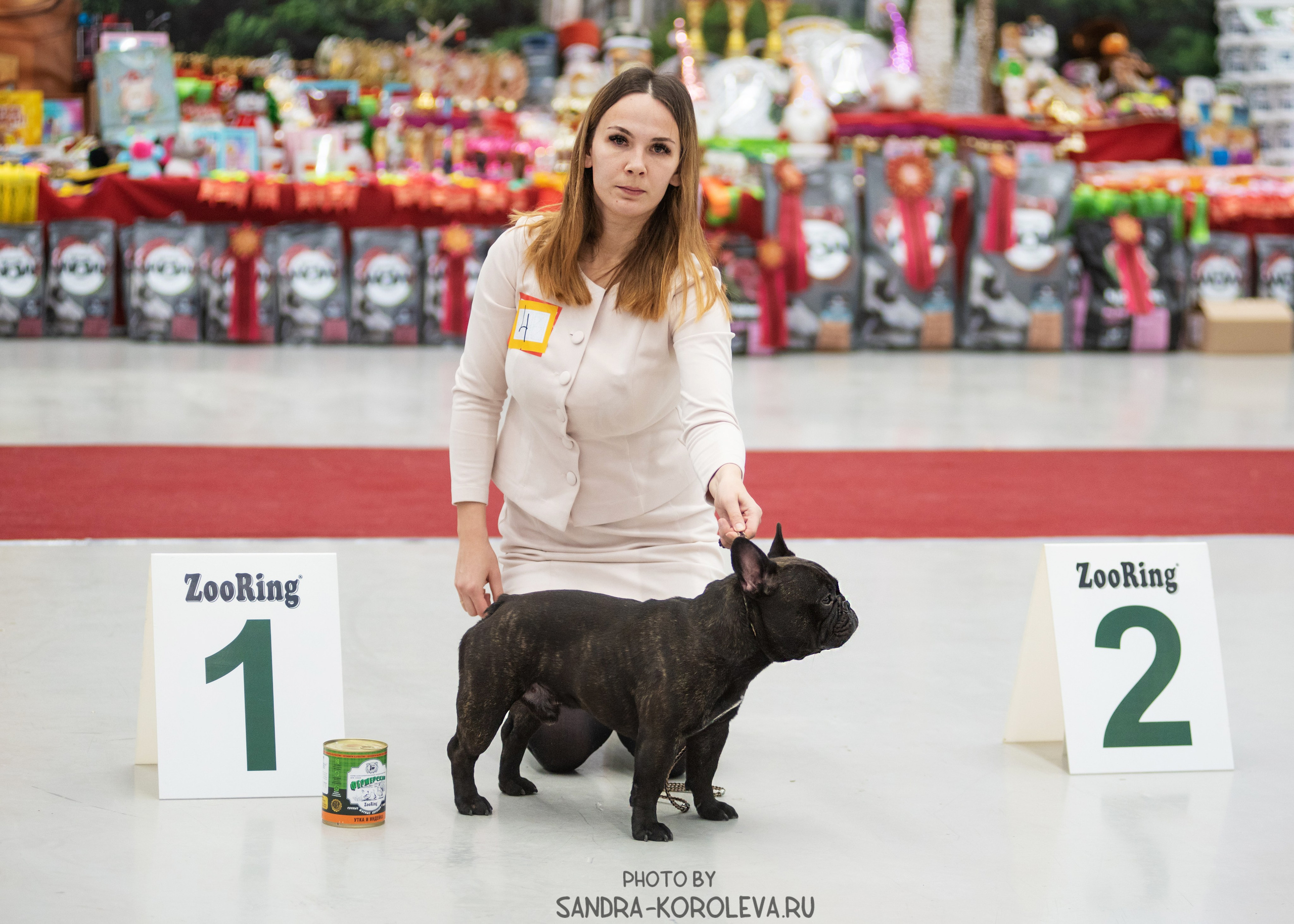Выставка собак тюмень 10.12.2022. Дог-фотограф в Тюмени Александра Королева
