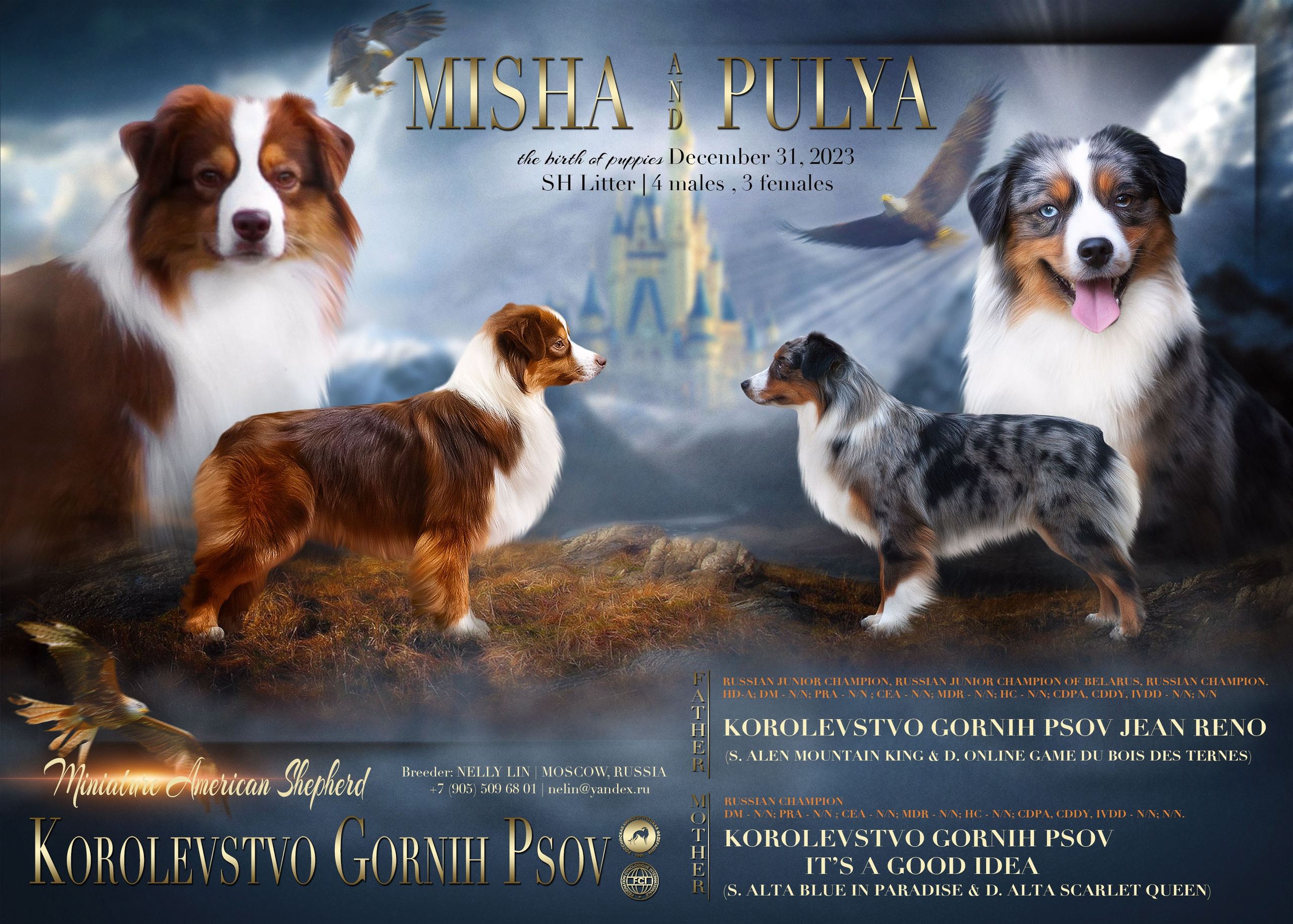 Animal presentation. Фотограф