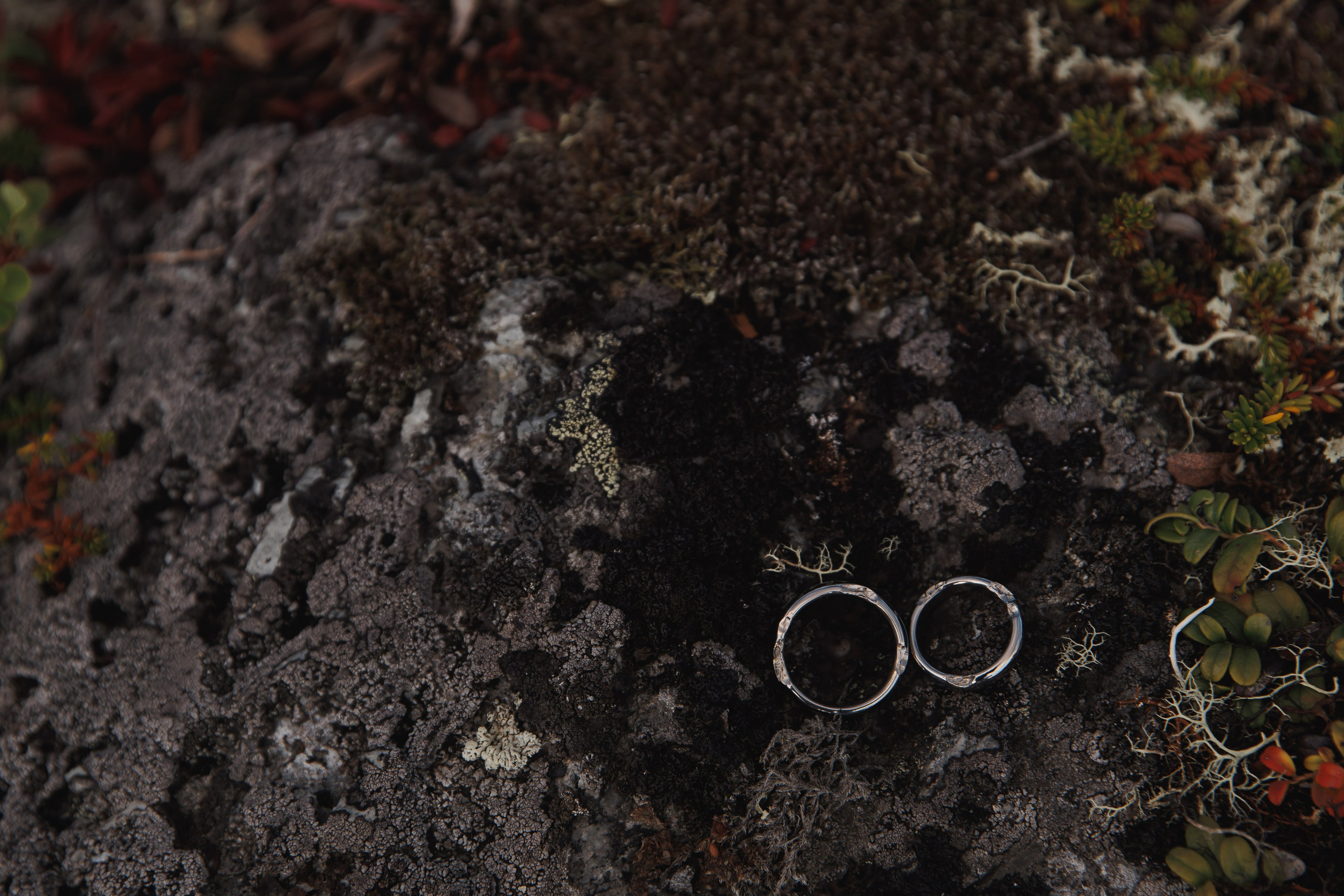 На севере — любить!. Wedding photographer in St. Petersburg, Europe and Israel Anna Agafon