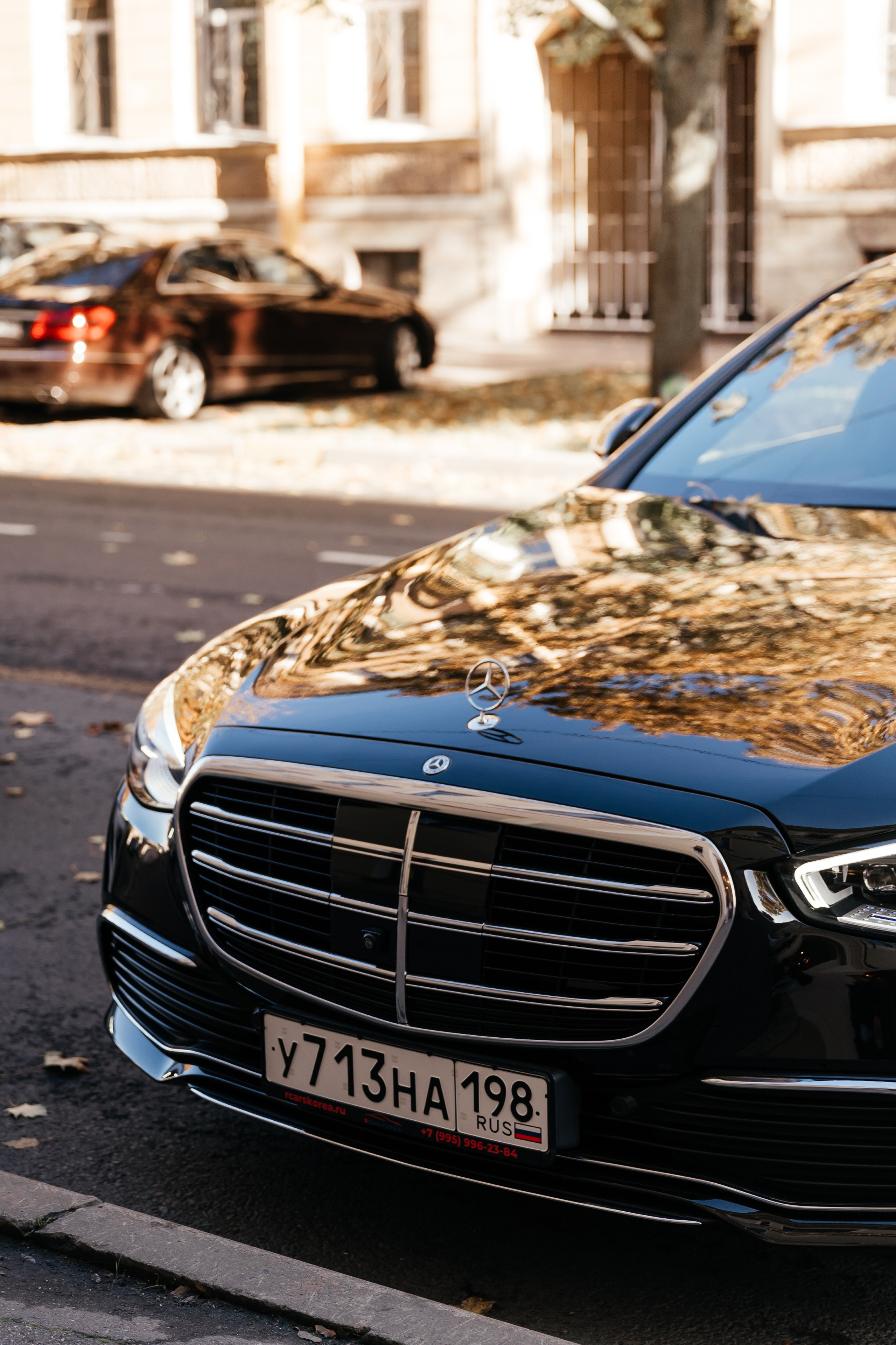 Вероника и Николай. Свадебный и студийный фотограф Ирина Котикова