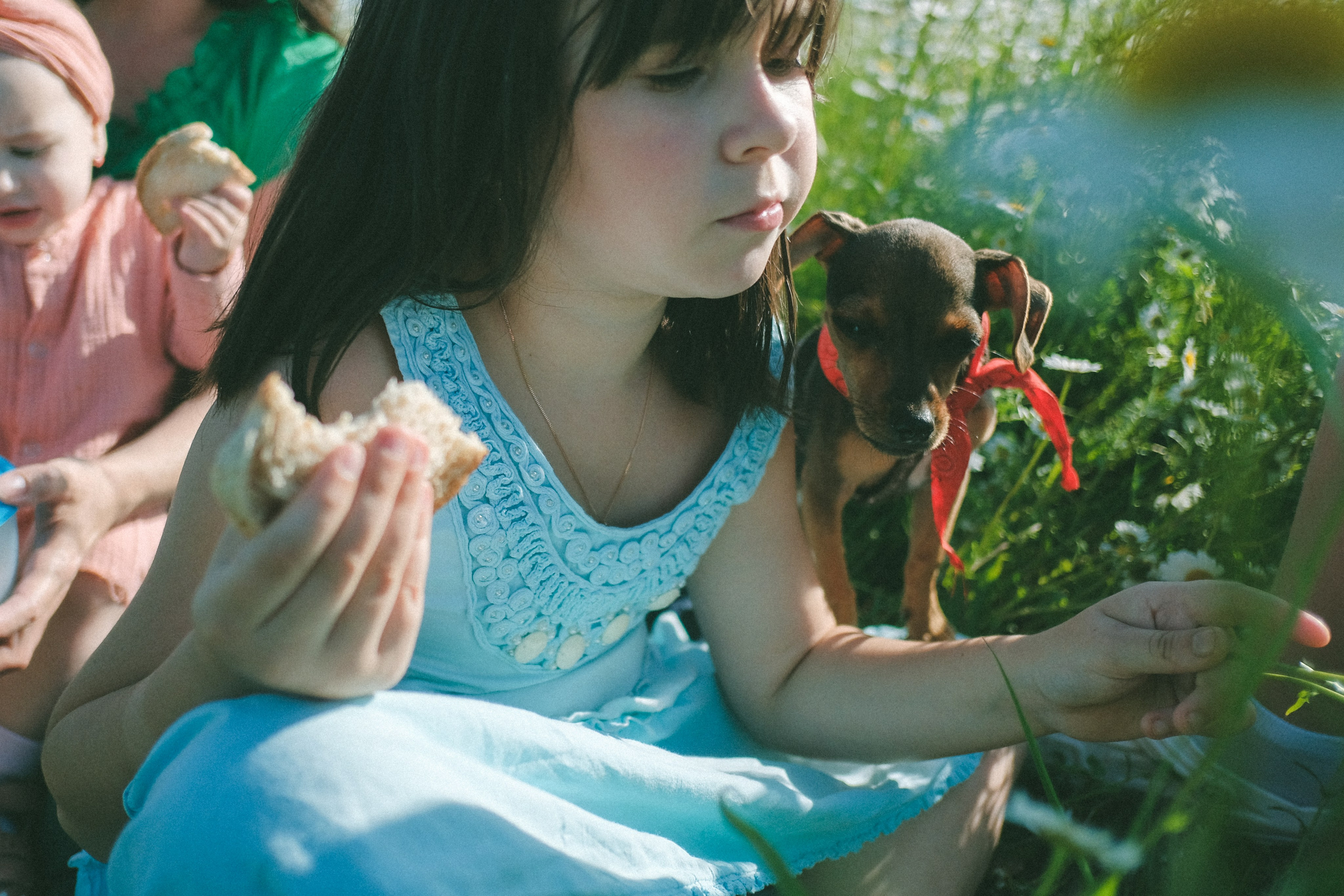 Ждановы в ромашках. Женский и семейный фотограф в Краснодаре и крае Таня Мустафина
