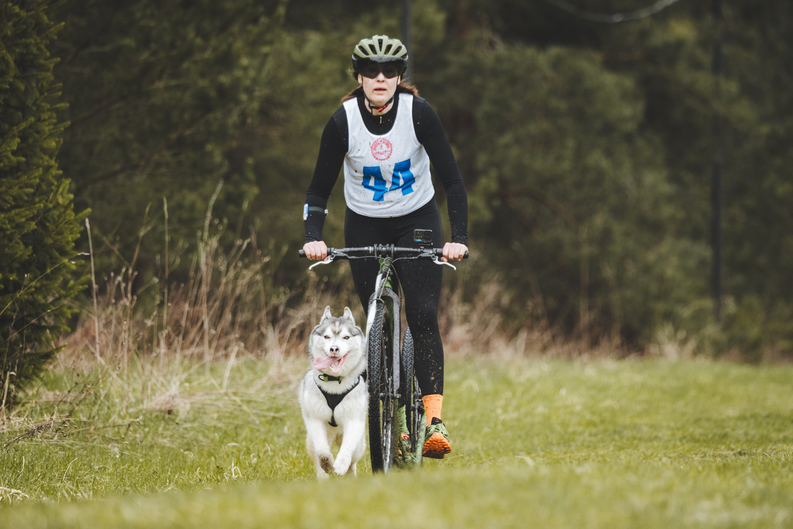 Почёвинский драйдленд. Фотограф Ирина Астор