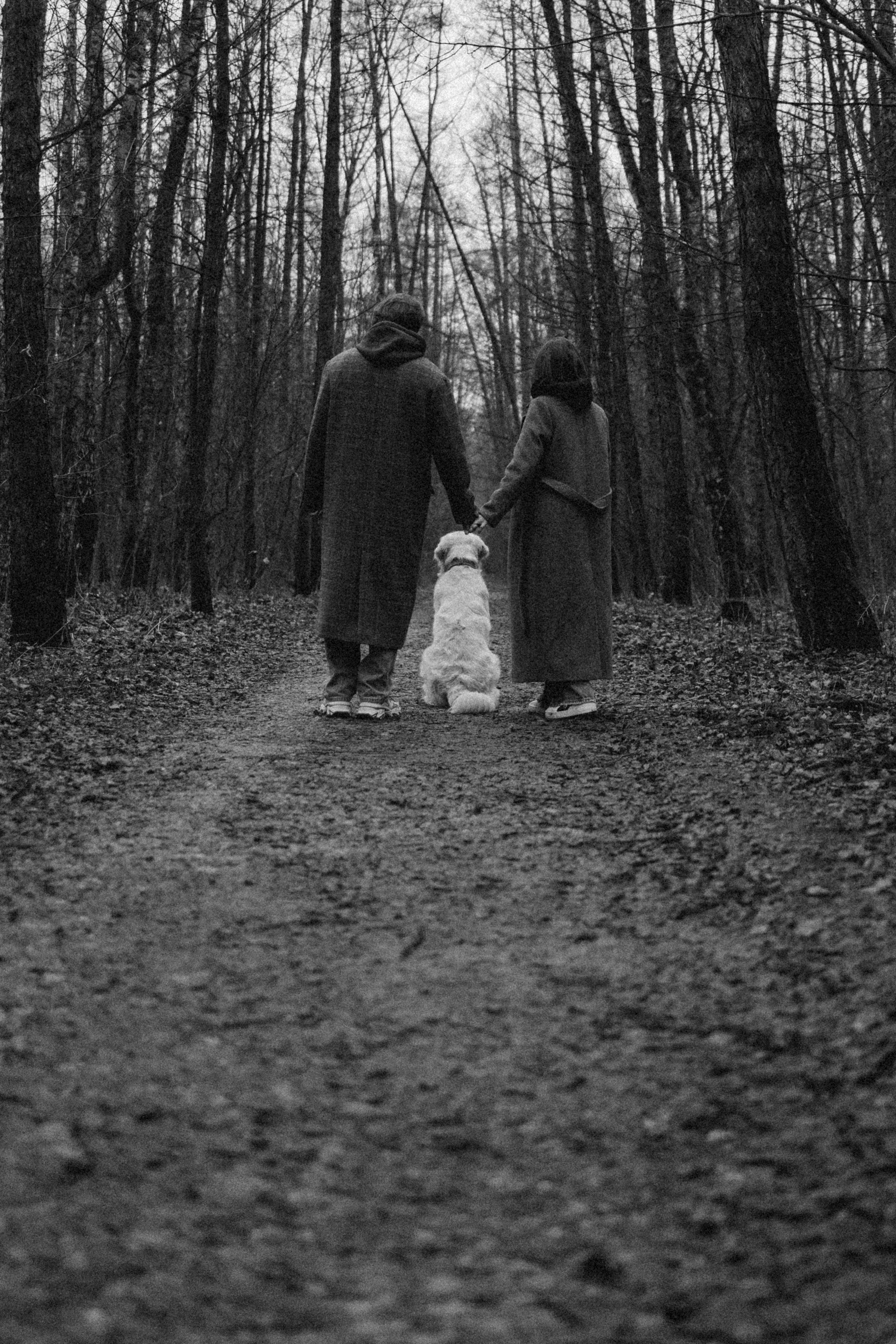 Лаки и его семья. Фотограф — Анималист | Санкт-Петербург